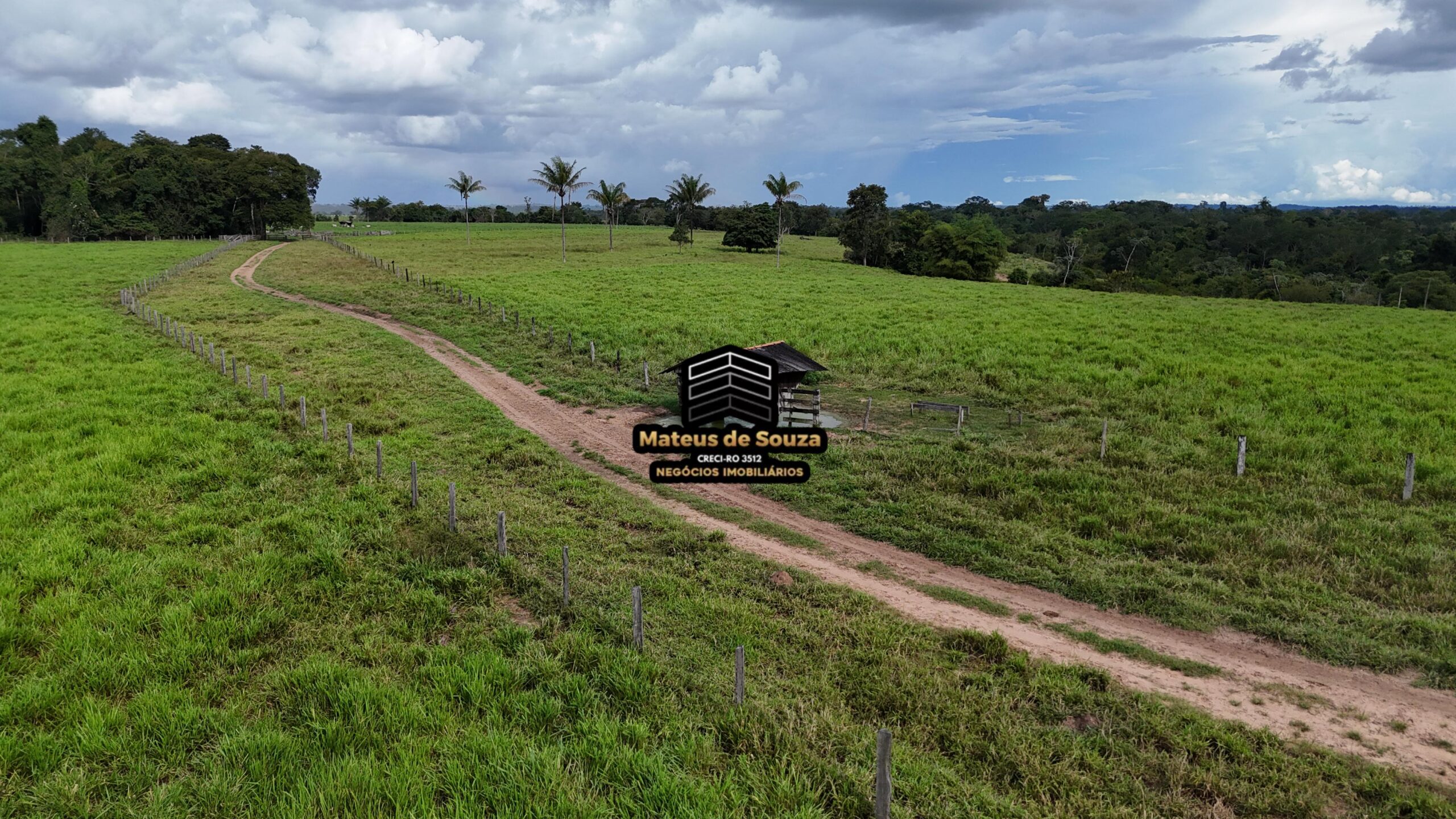 WhatsApp Image 2026-02-21 at 20.45.57