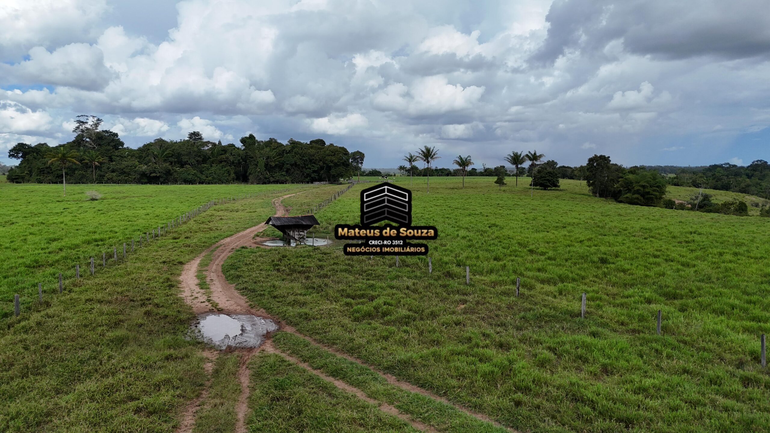 WhatsApp Image 2026-02-21 at 20.45.58