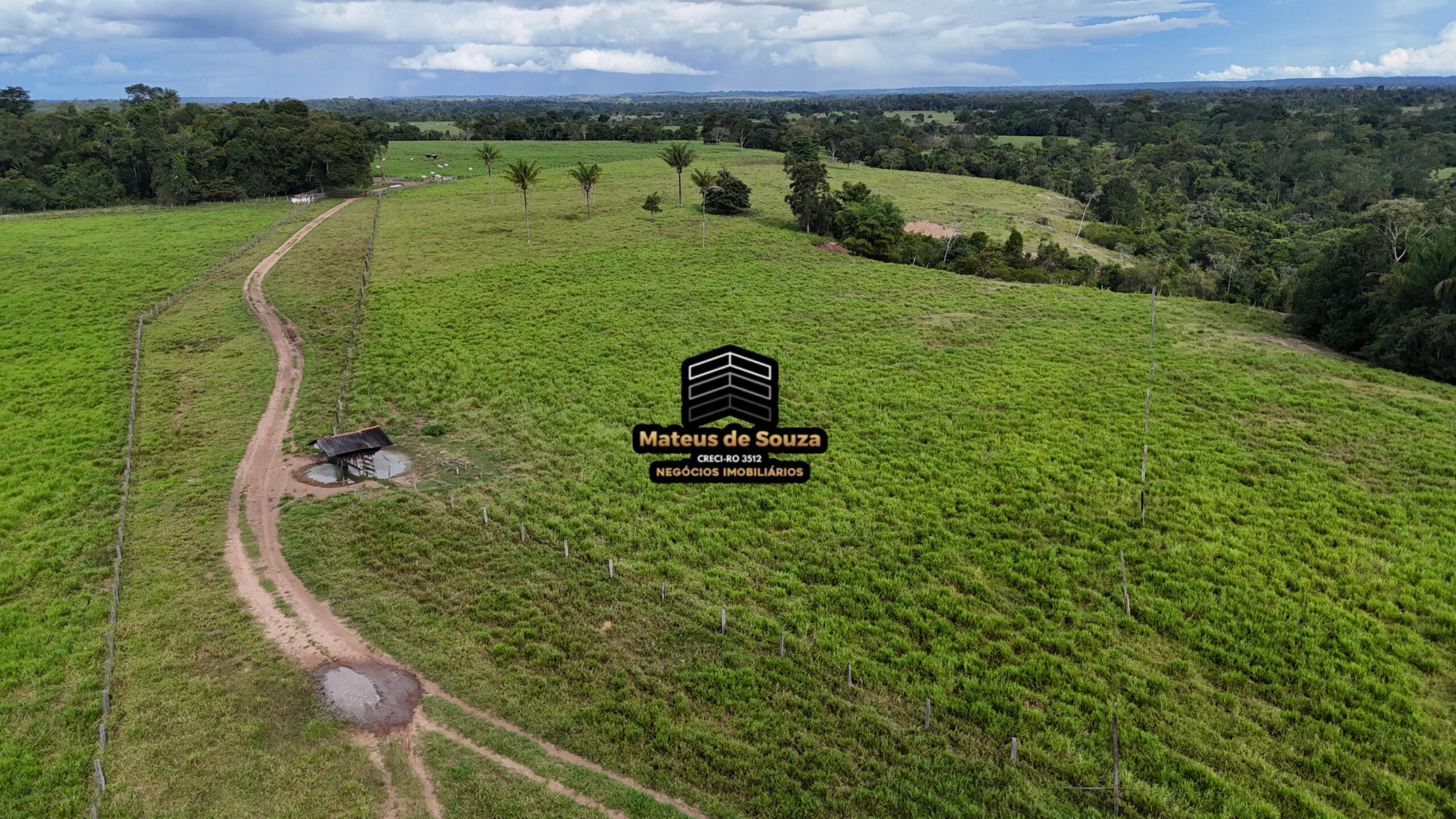 WhatsApp Image 2026-02-21 at 20.45.59 (1)