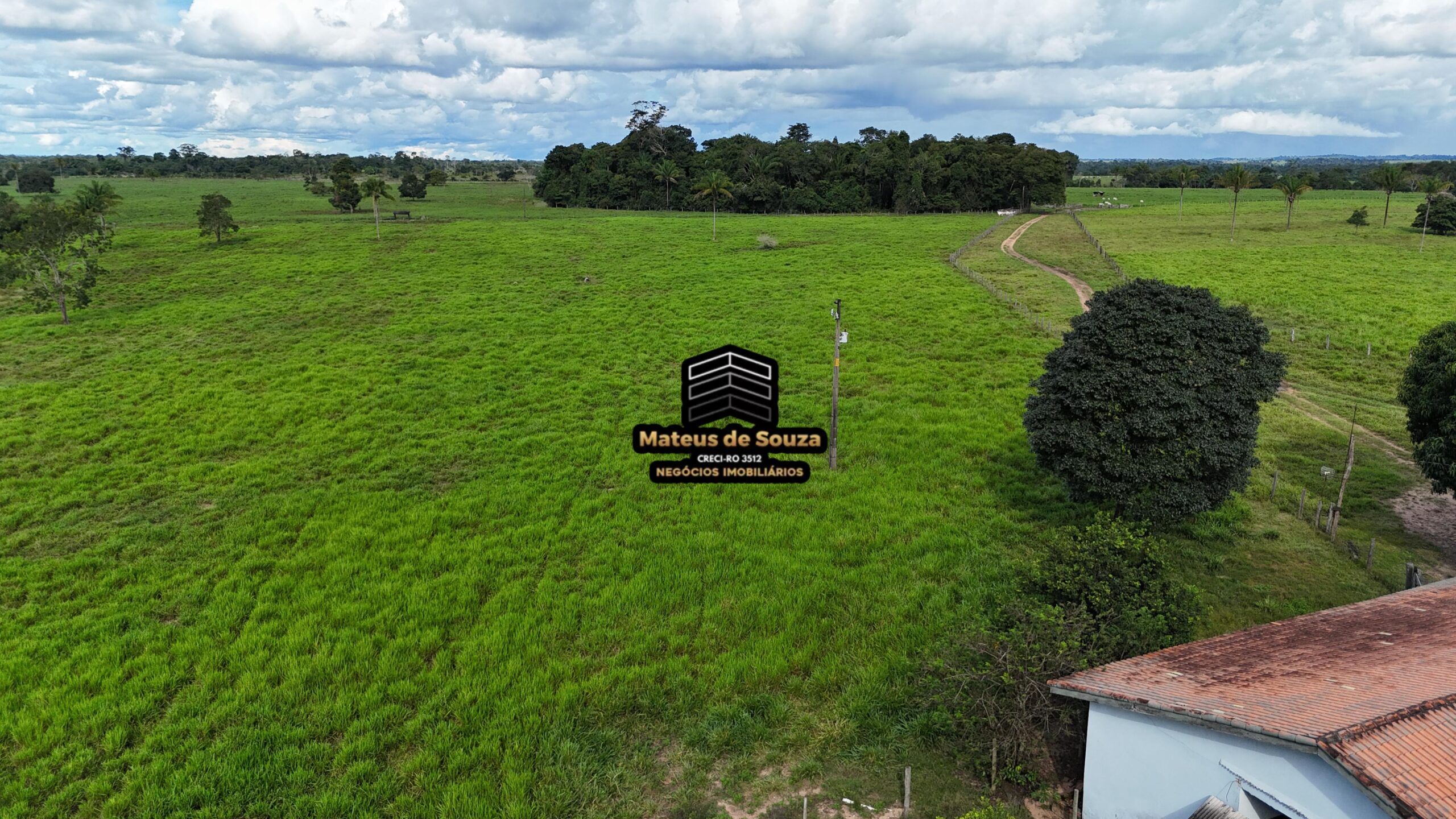 WhatsApp Image 2026-02-21 at 20.45.59