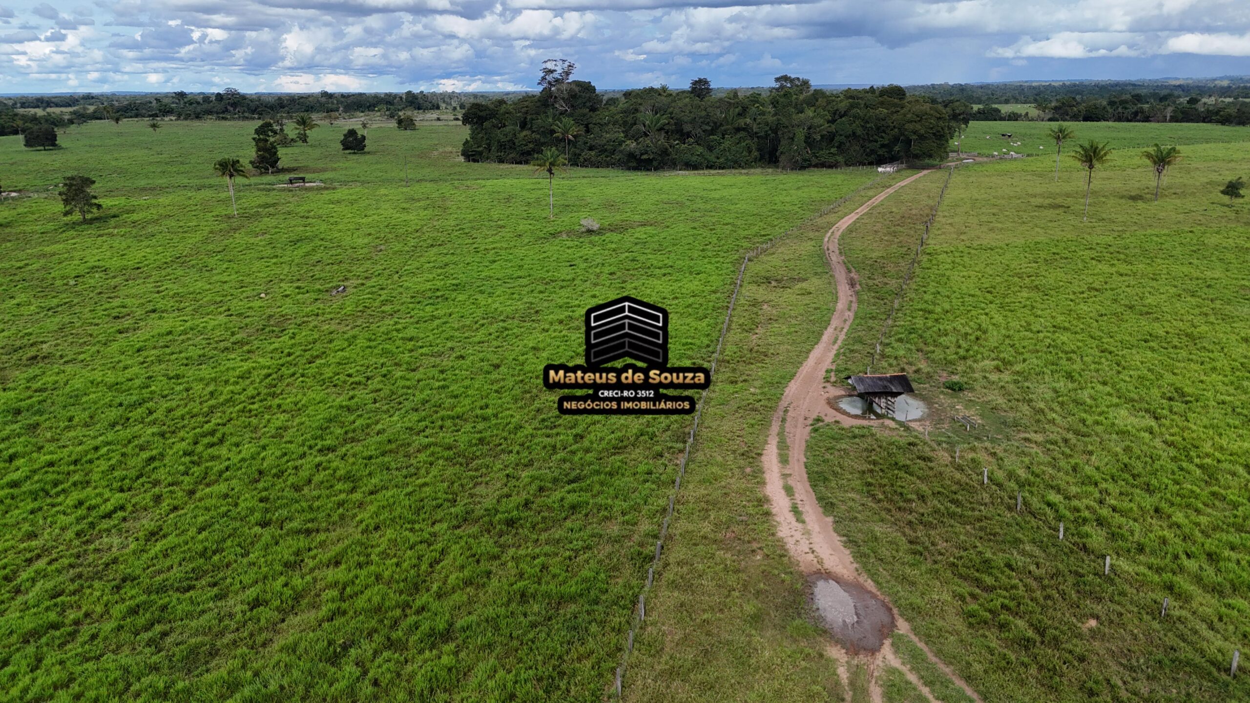 WhatsApp Image 2026-02-21 at 20.46.00