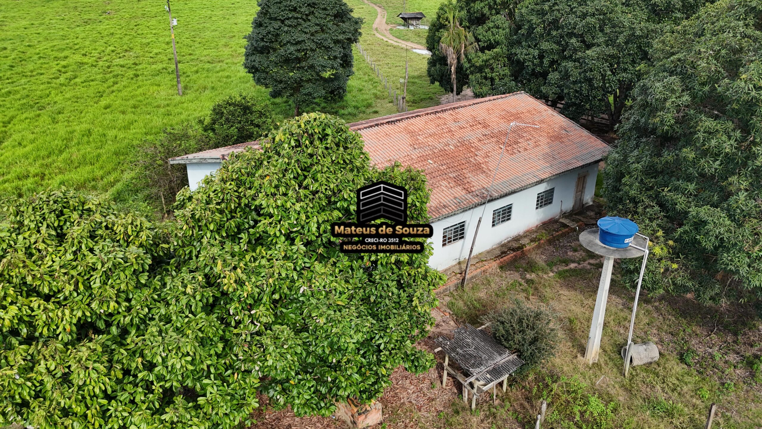 WhatsApp Image 2026-02-21 at 20.46.02