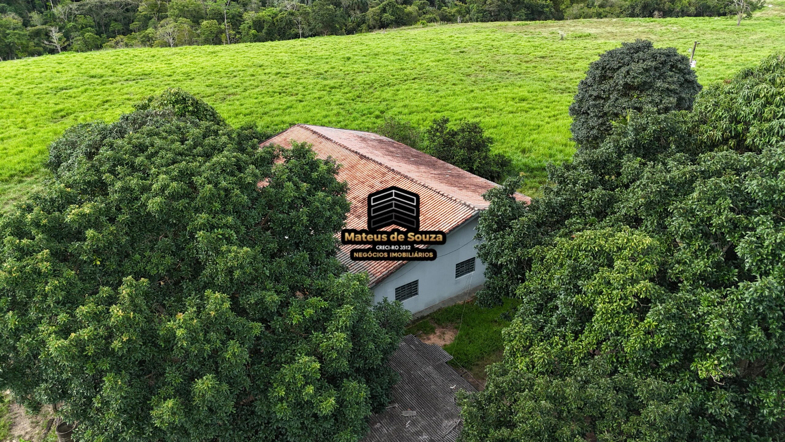 WhatsApp Image 2026-02-21 at 20.46.03 (2)