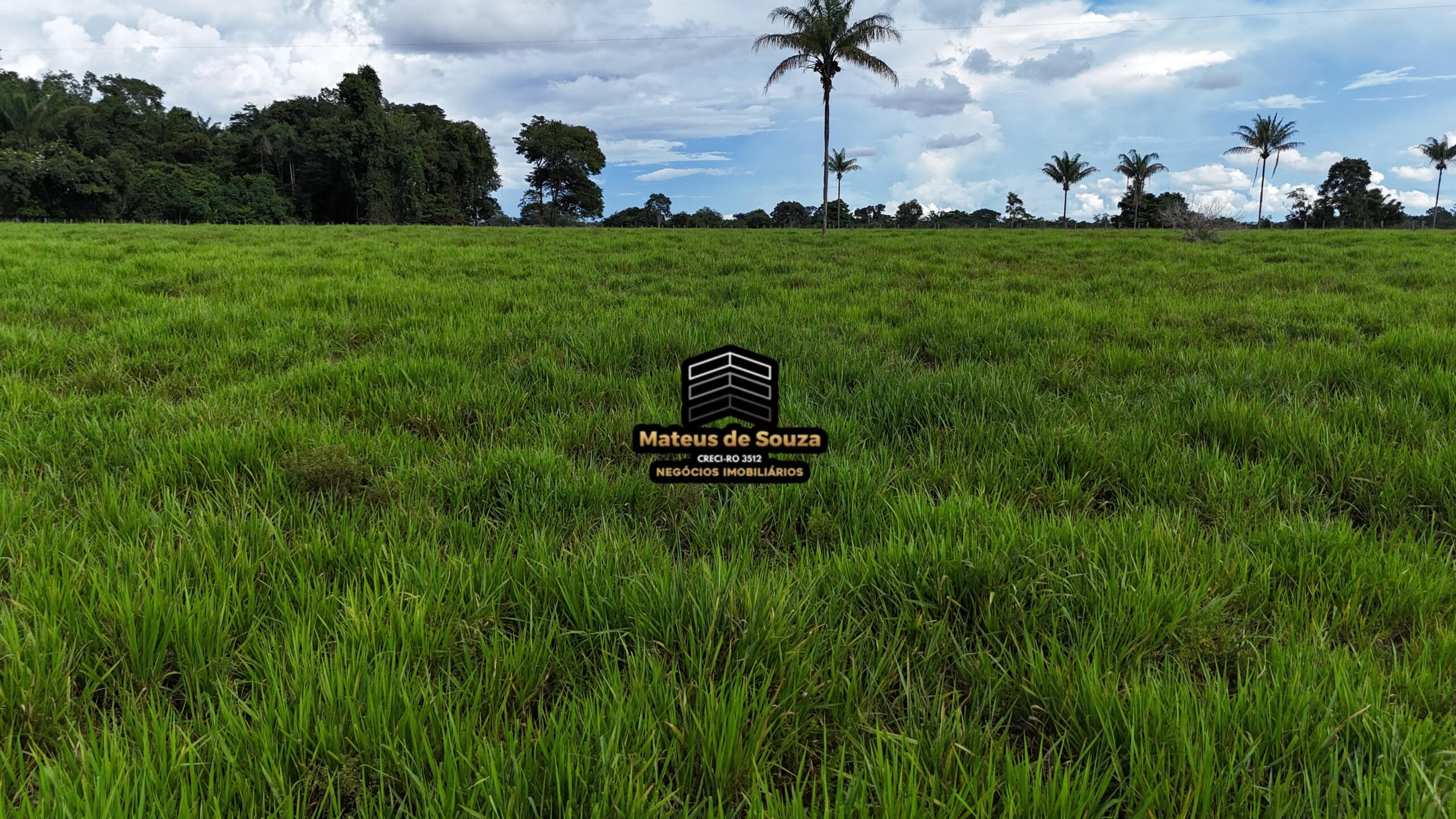 WhatsApp Image 2026-02-21 at 20.46.04 (1)