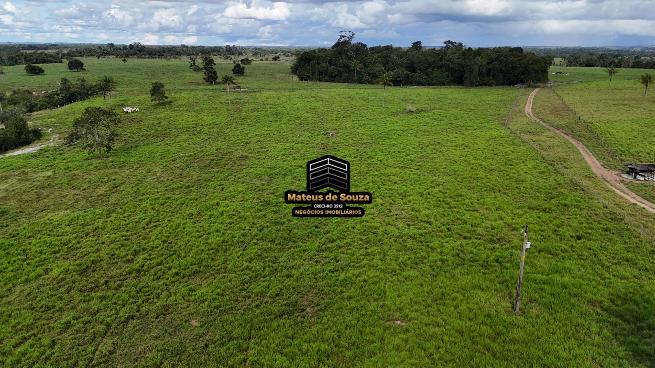 WhatsApp Image 2026-02-21 at 20.46.05 (2)