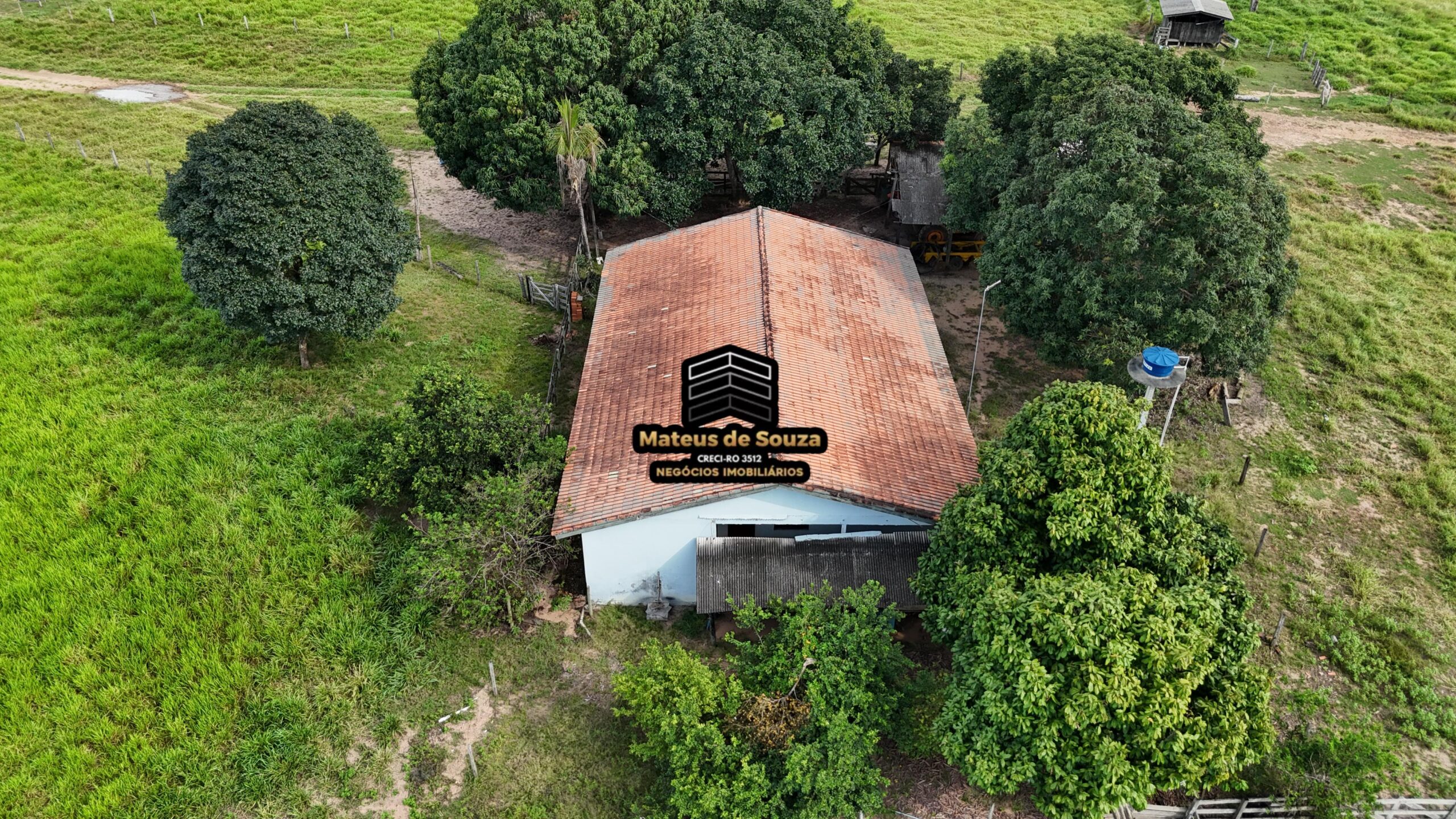 WhatsApp Image 2026-02-21 at 20.46.05