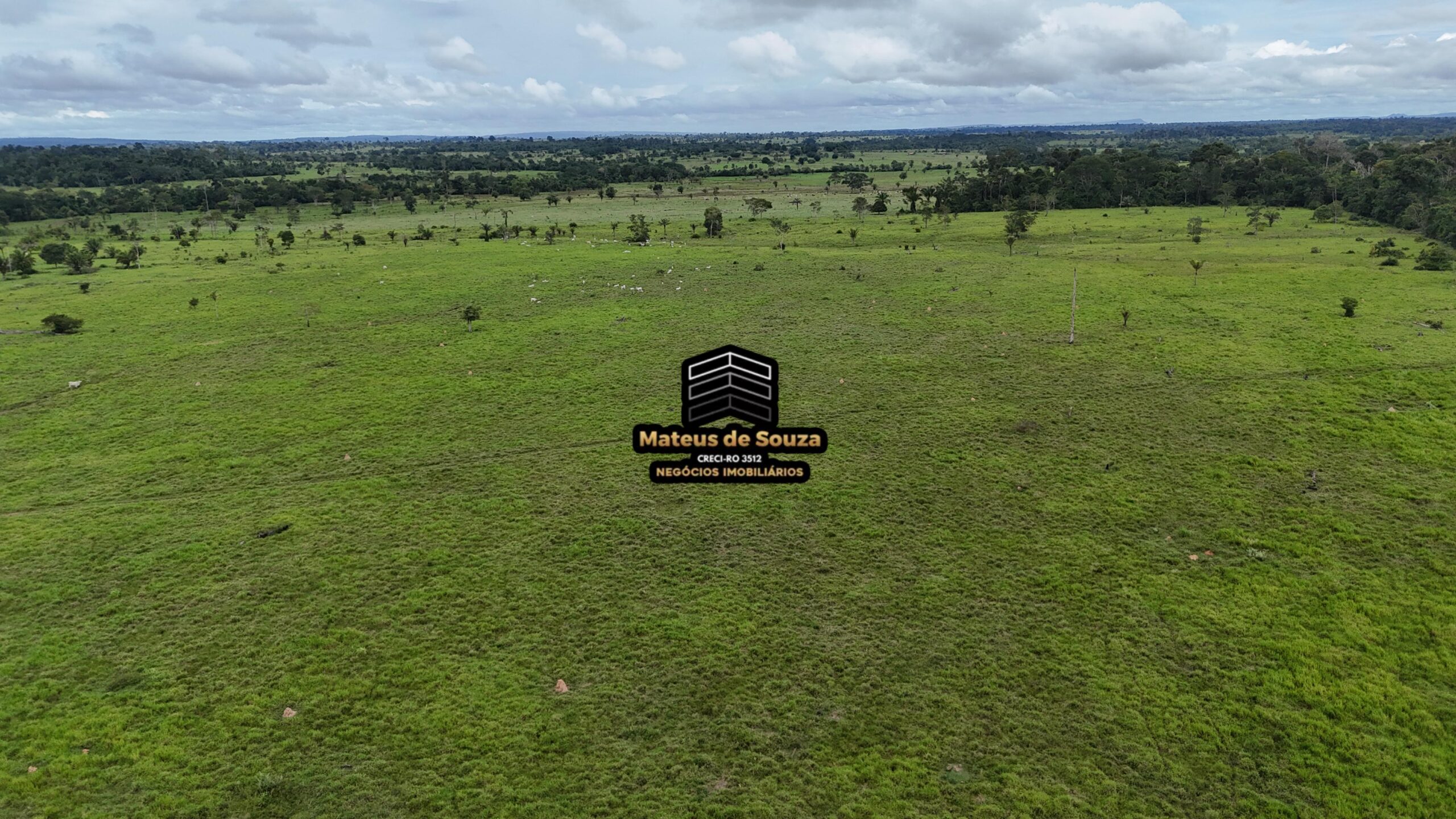 WhatsApp Image 2026-02-21 at 20.46.32