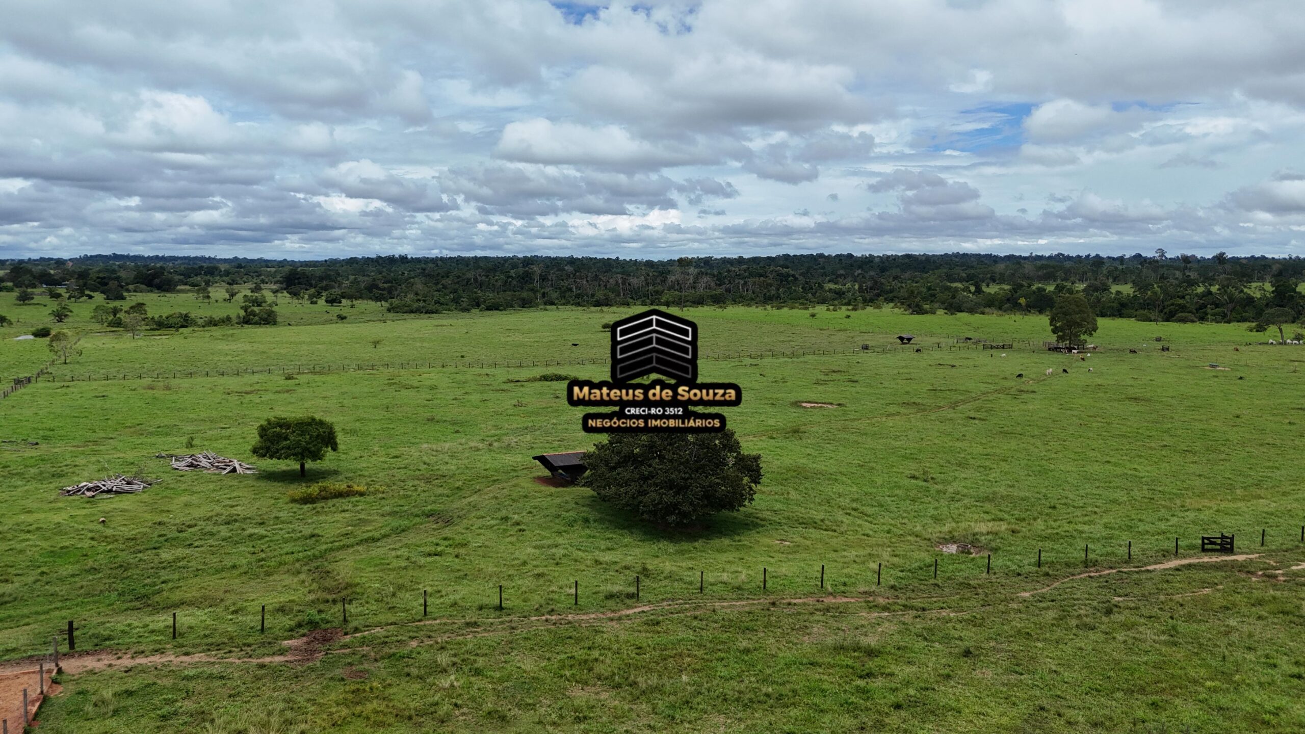 WhatsApp Image 2026-02-21 at 20.46.35 (1)