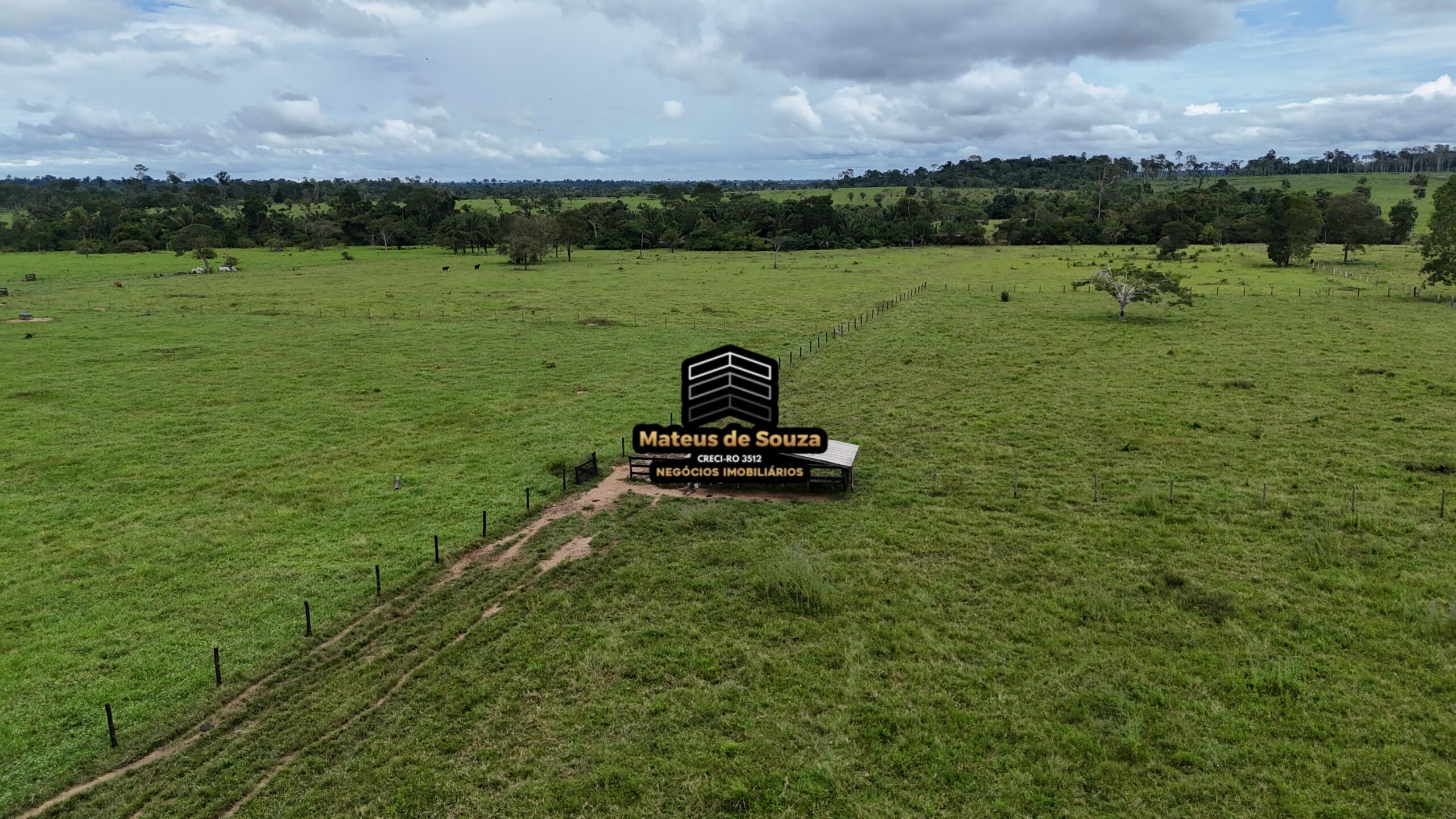 WhatsApp Image 2026-02-21 at 20.46.35