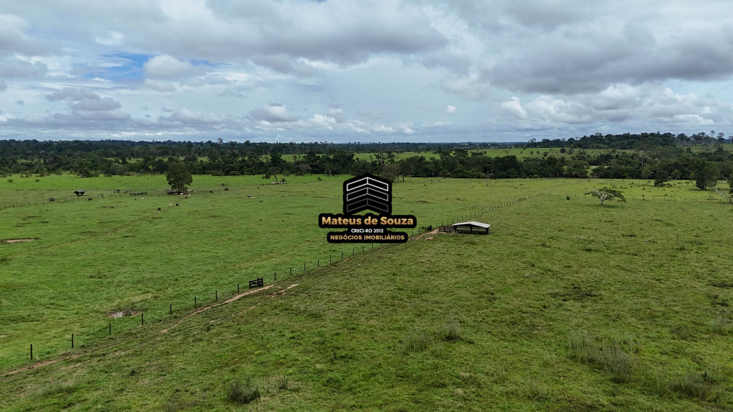 WhatsApp Image 2026-02-21 at 20.46.36 (2)