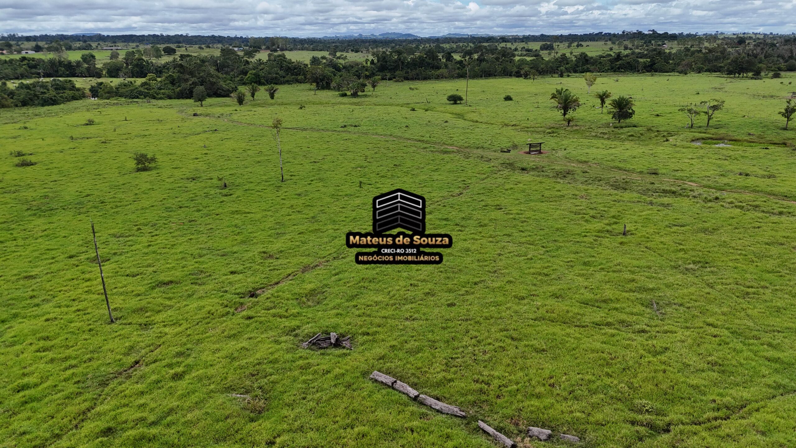 WhatsApp Image 2026-02-21 at 20.46.36