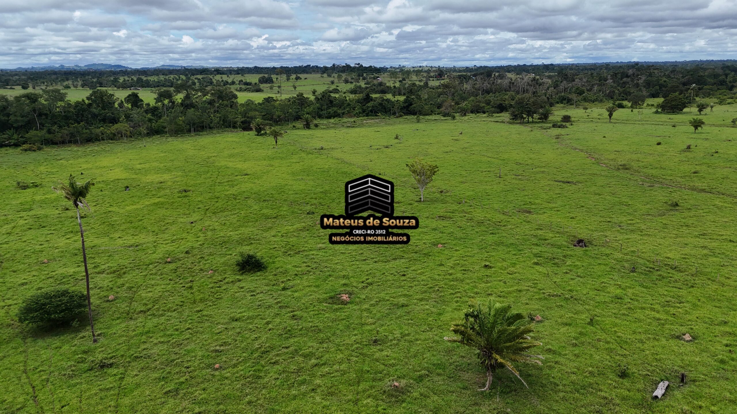 WhatsApp Image 2026-02-21 at 20.46.37