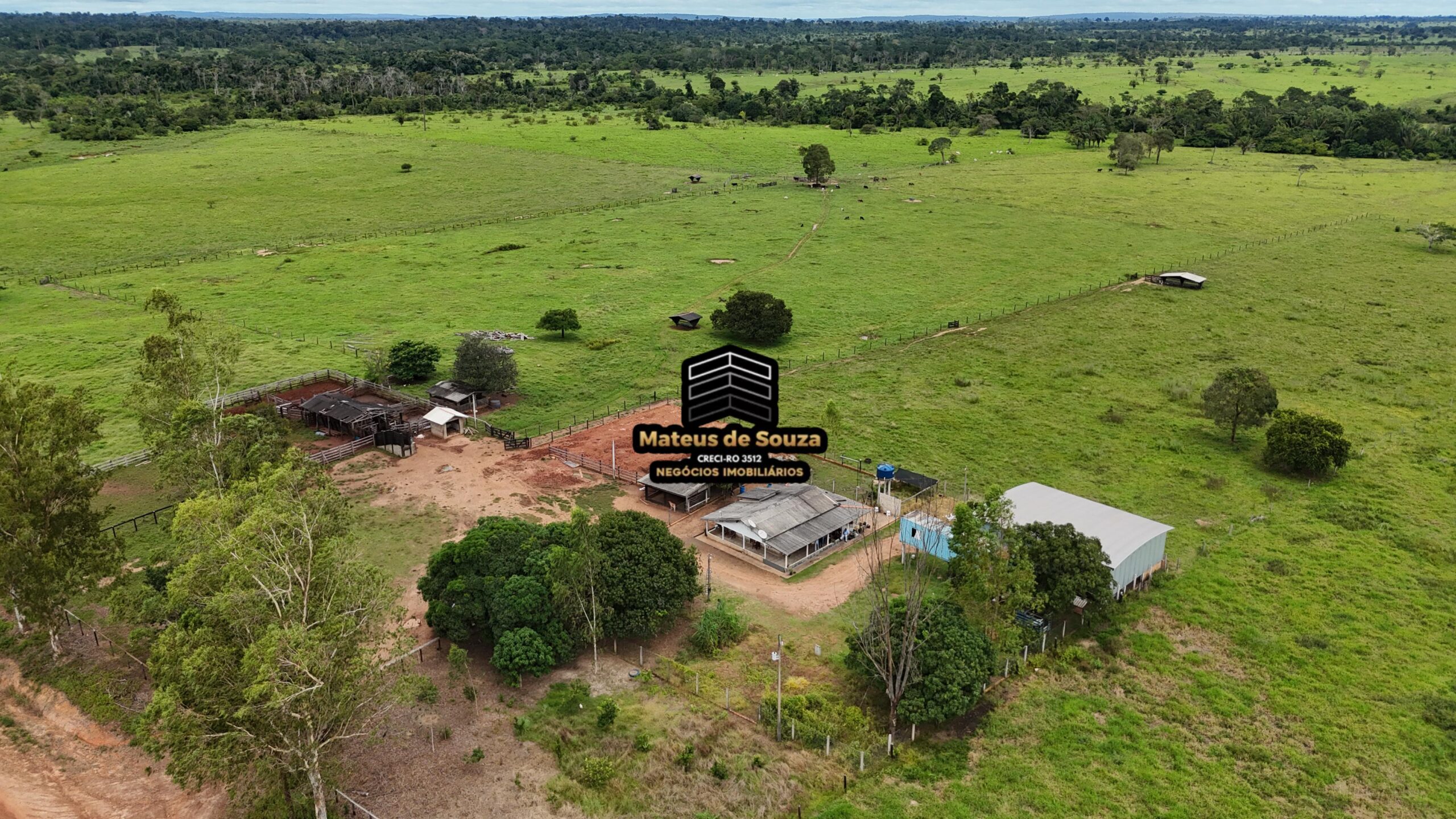 WhatsApp Image 2026-02-21 at 20.46.38