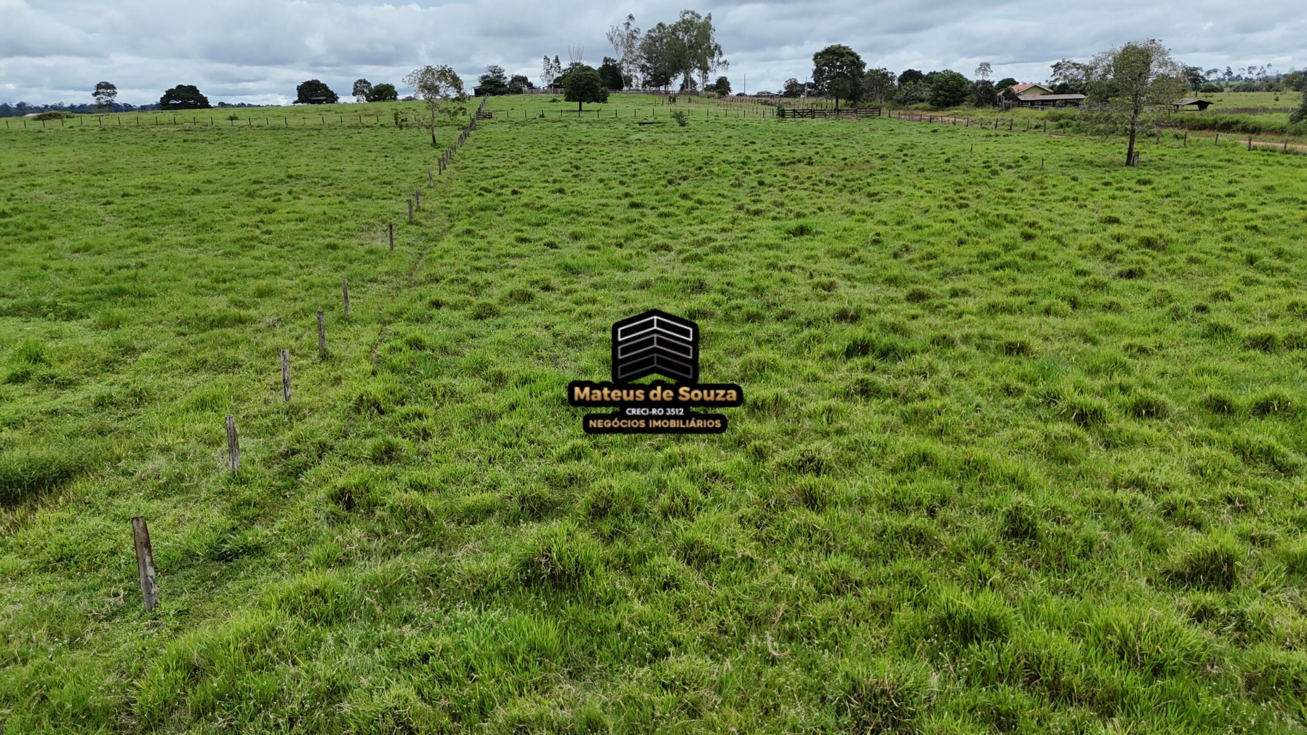 WhatsApp Image 2026-02-21 at 20.46.42