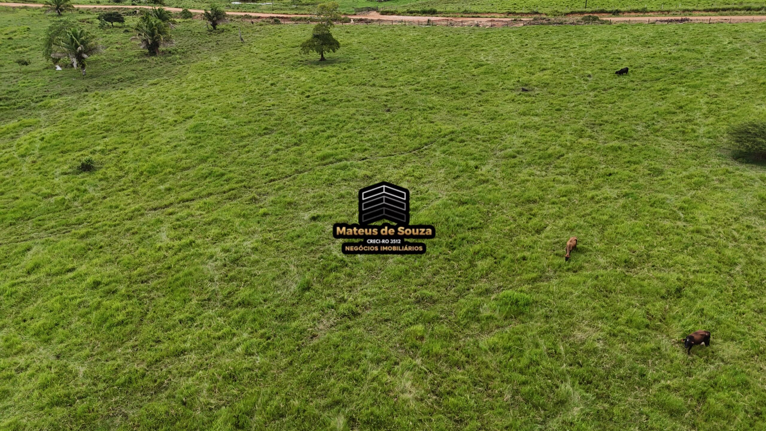 WhatsApp Image 2026-02-21 at 20.46.43 (1)