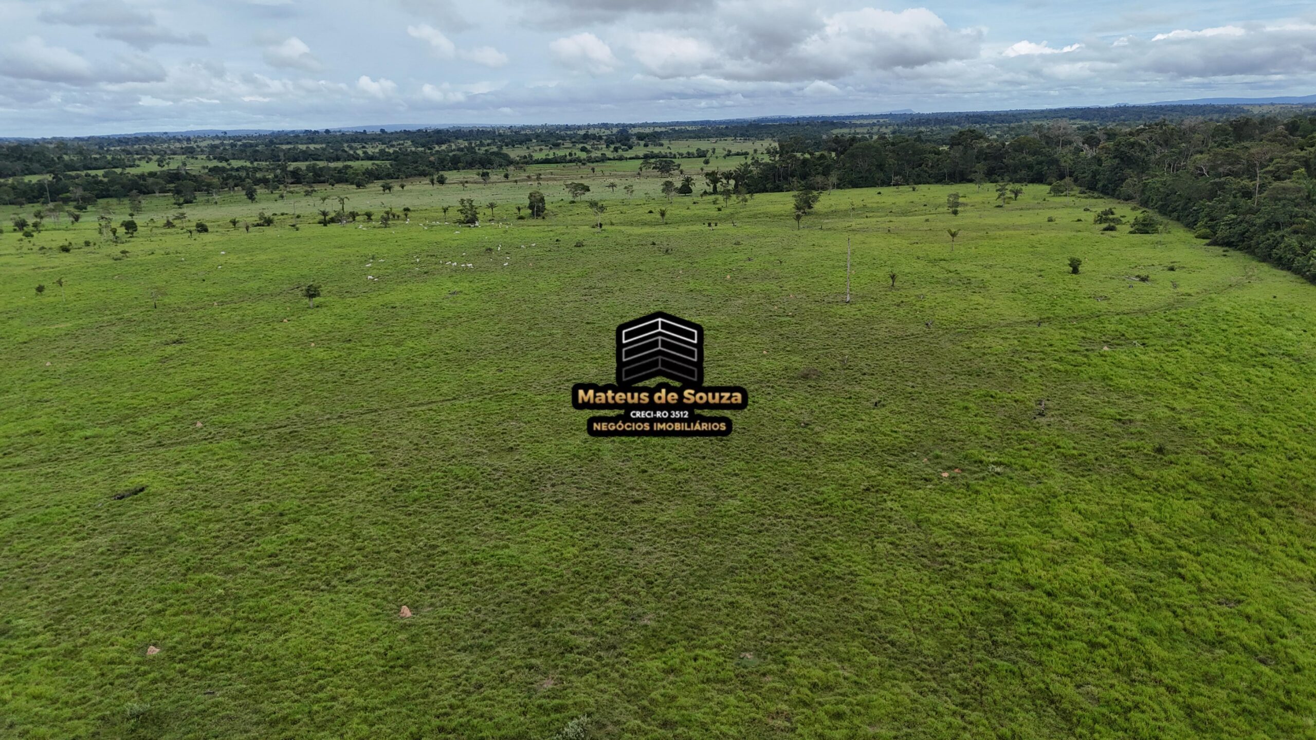 WhatsApp Image 2026-02-21 at 20.46.43 (2)