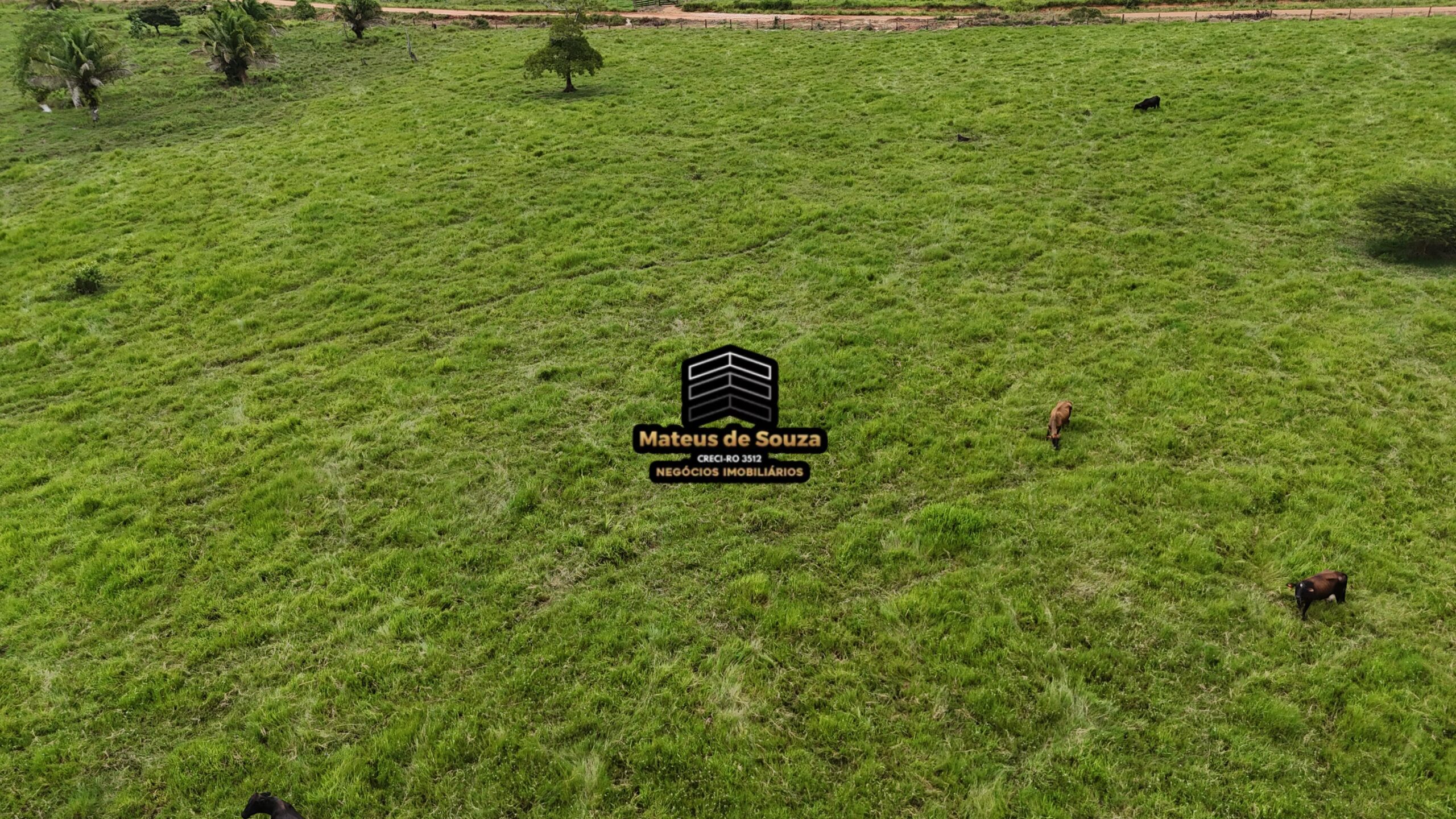 WhatsApp Image 2026-02-21 at 20.46.44