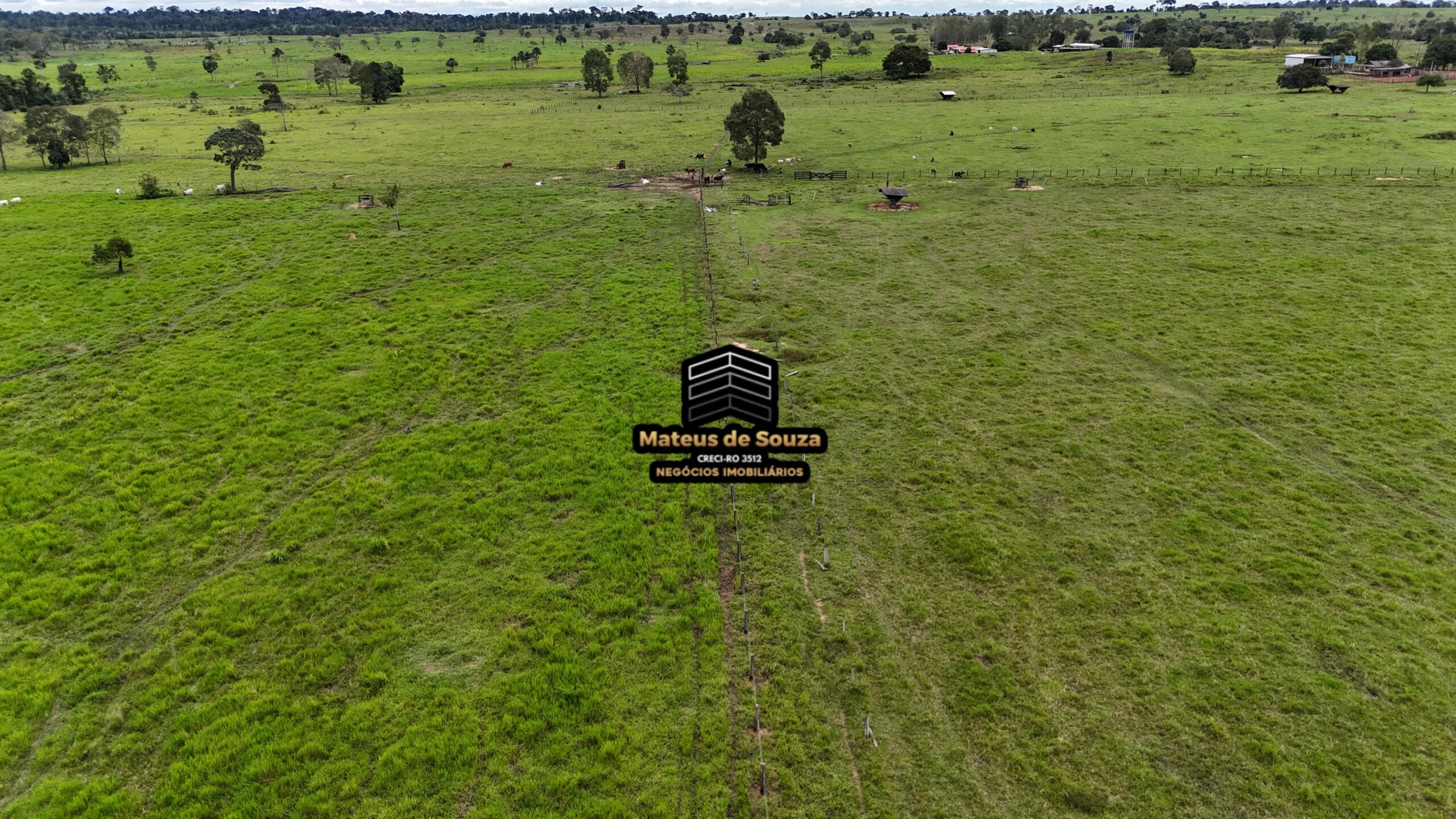 WhatsApp Image 2026-02-21 at 20.46.45 (2)