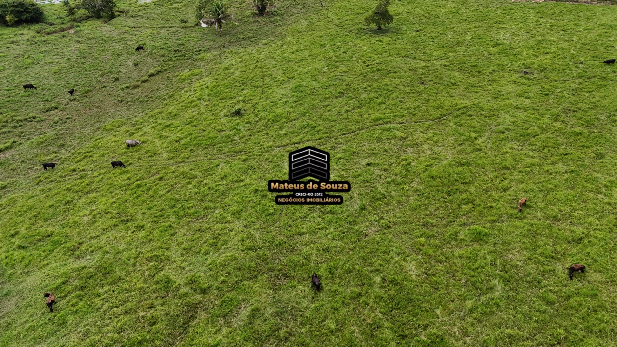 WhatsApp Image 2026-02-21 at 20.46.45