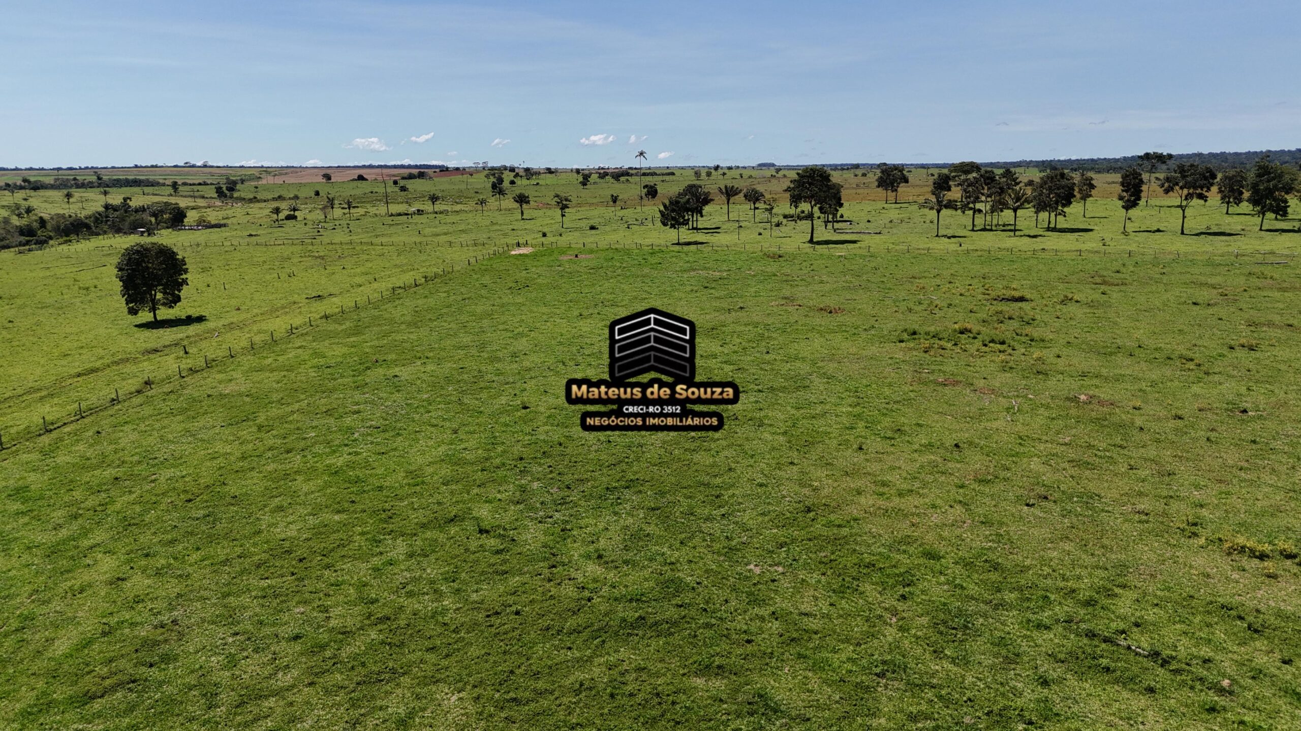 WhatsApp Image 2026-02-21 at 20.46.46