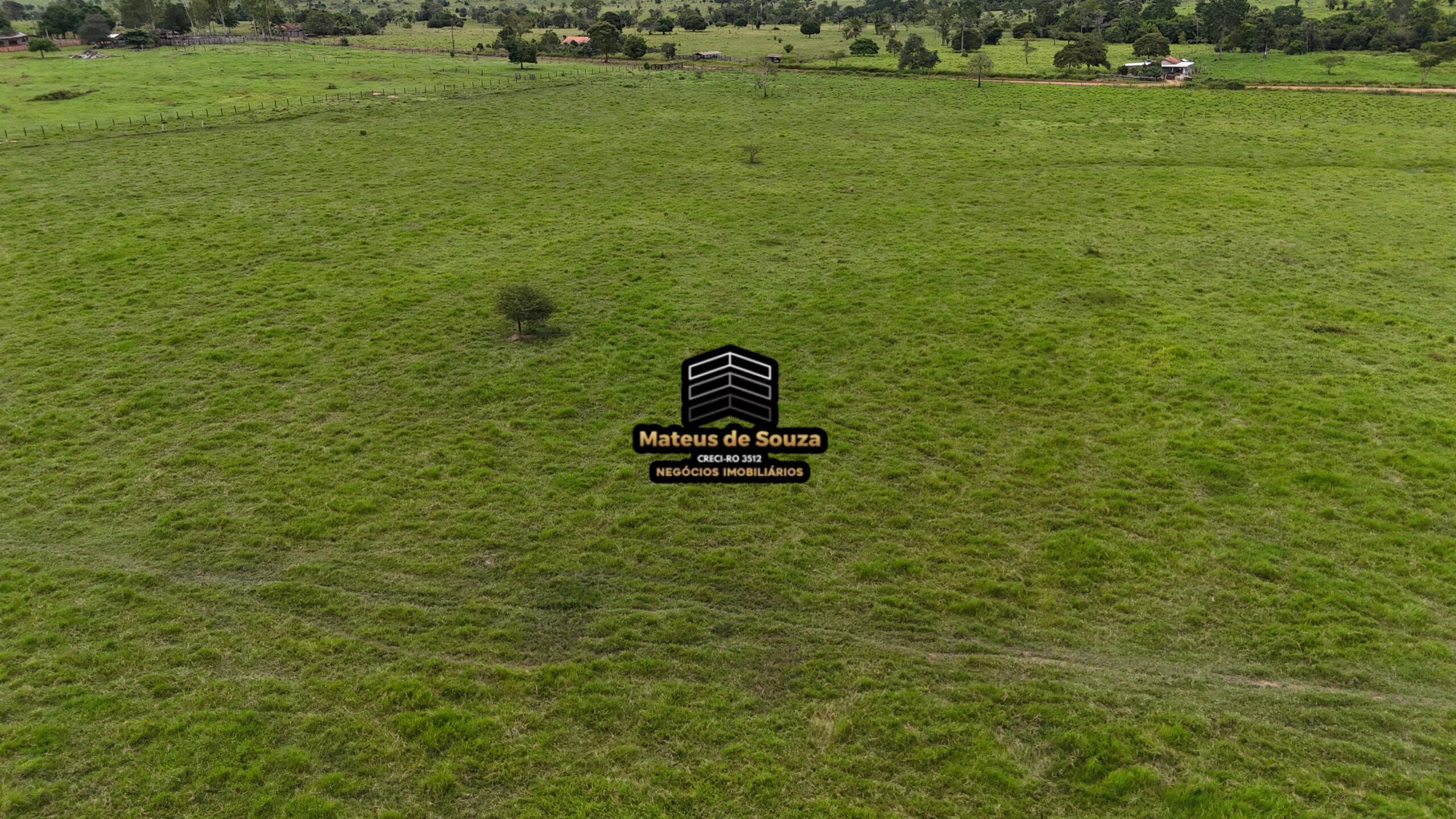 WhatsApp Image 2026-02-21 at 20.46.46