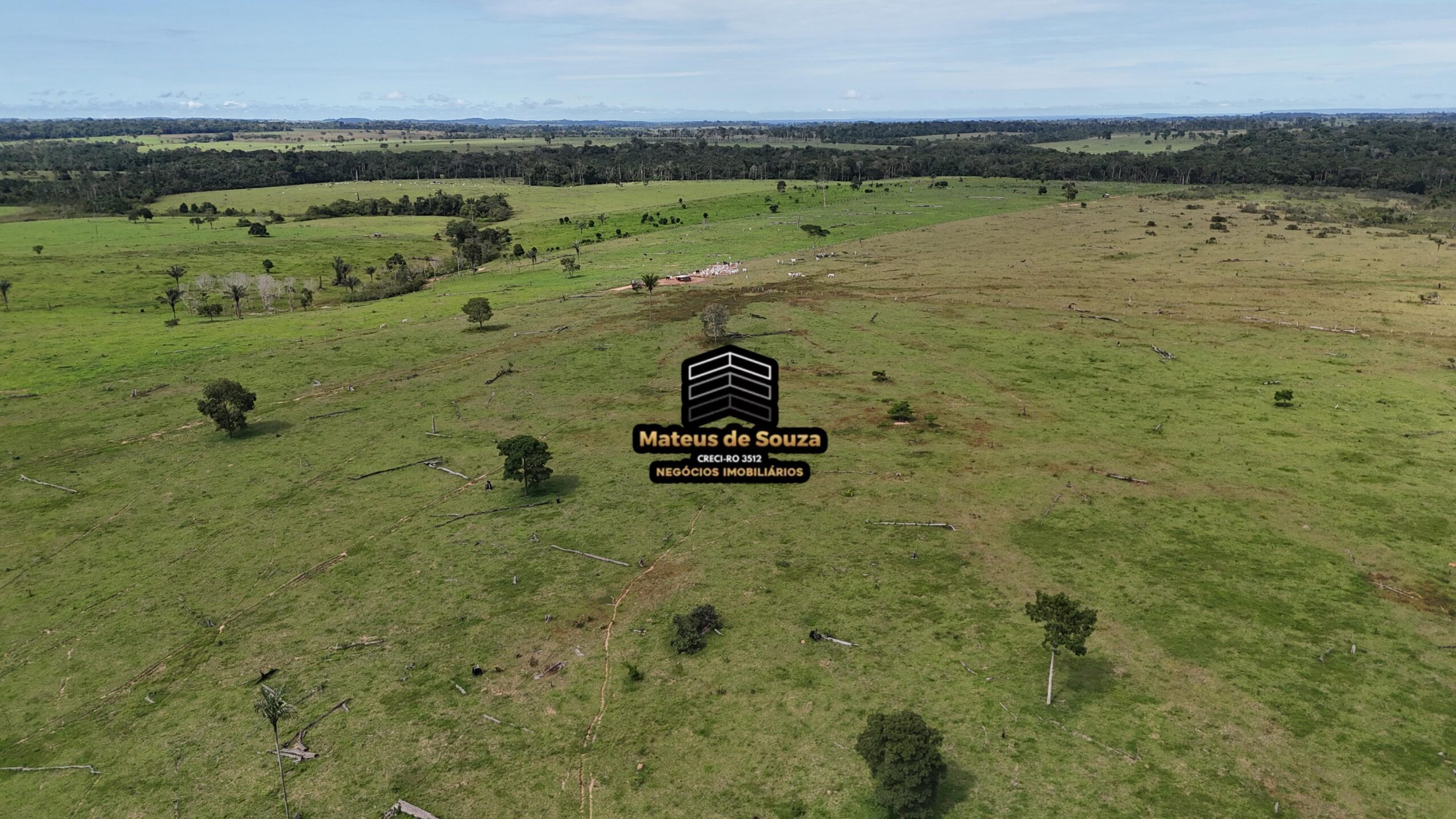 WhatsApp Image 2026-02-21 at 20.46.47 (1)