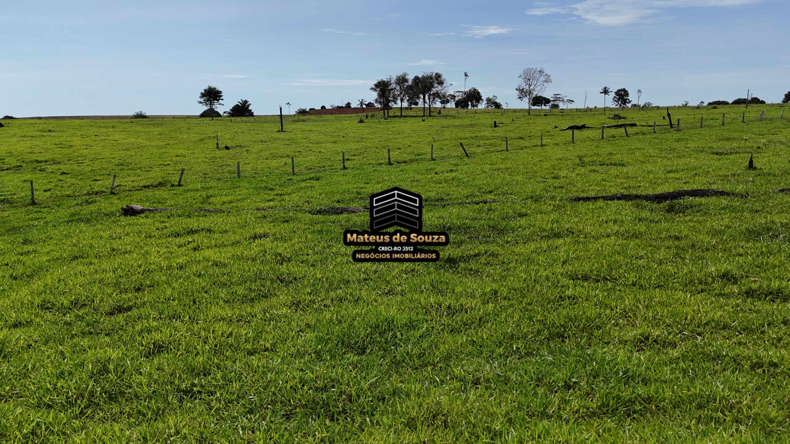 WhatsApp Image 2026-02-21 at 20.46.48 (2)