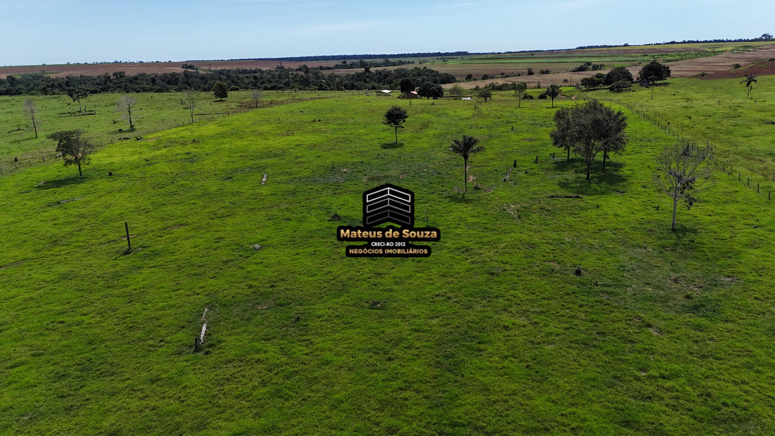 WhatsApp Image 2026-02-21 at 20.46.48