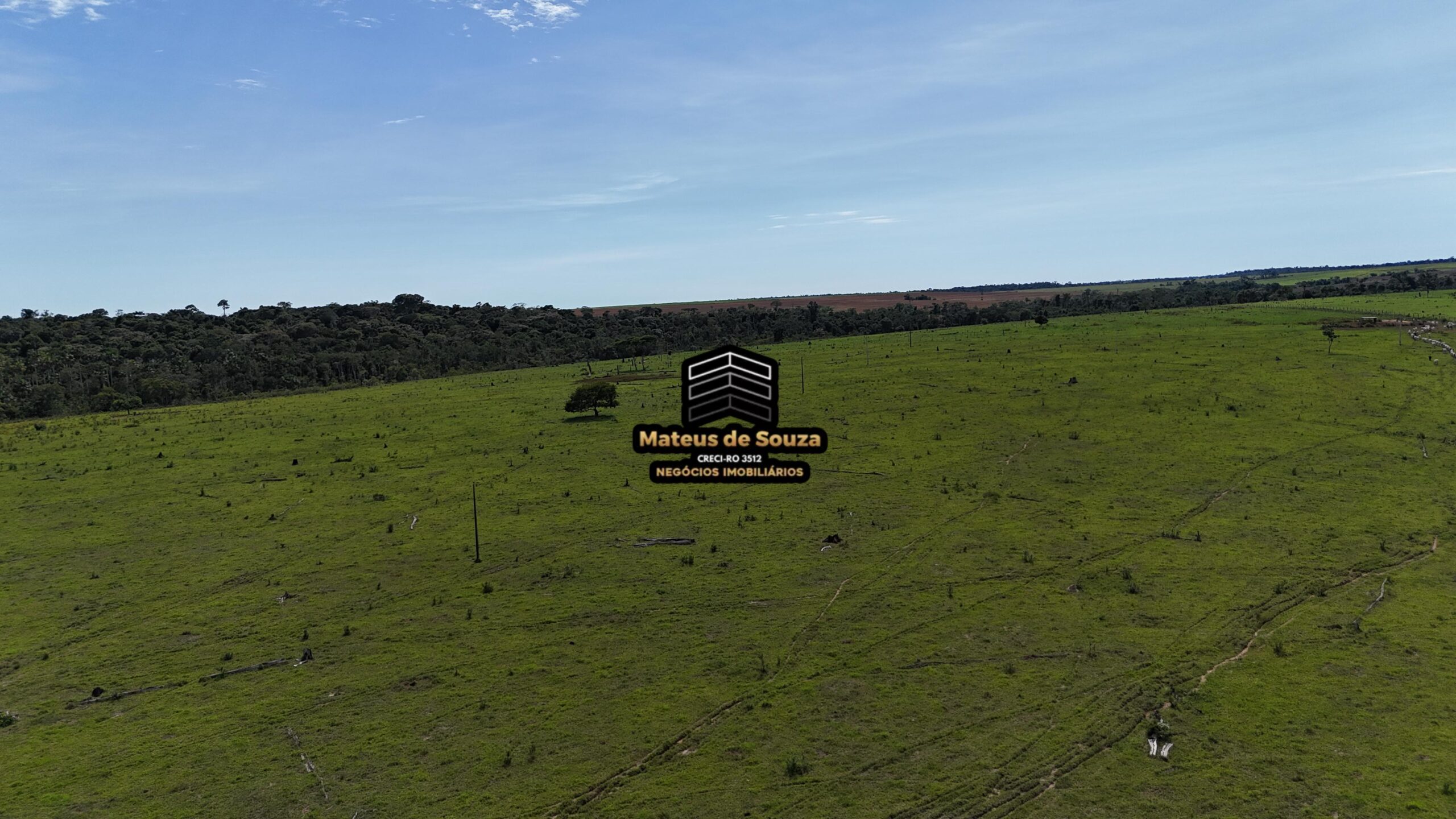 WhatsApp Image 2026-02-21 at 20.46.49