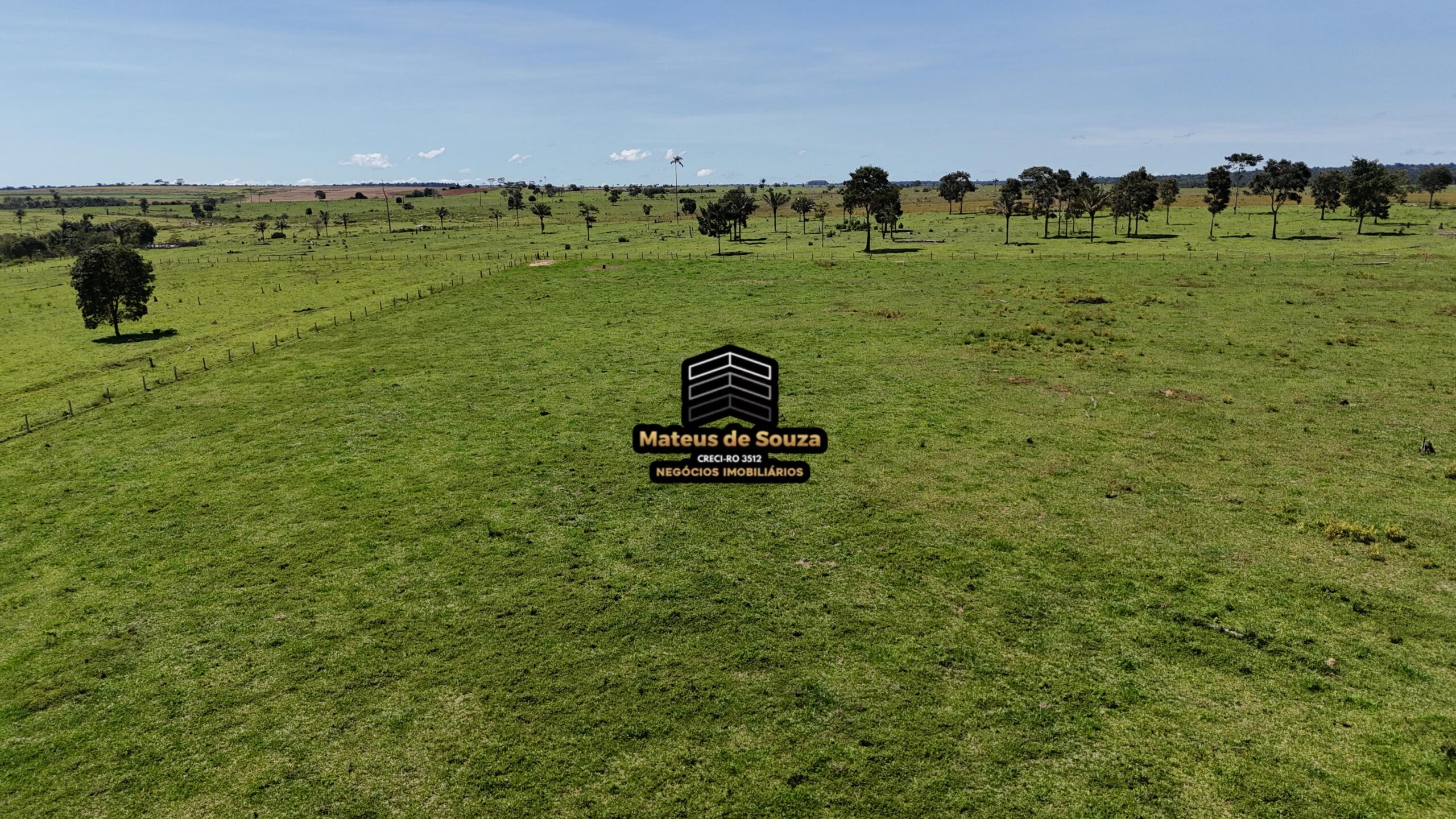 WhatsApp Image 2026-02-21 at 20.46.50 (2)