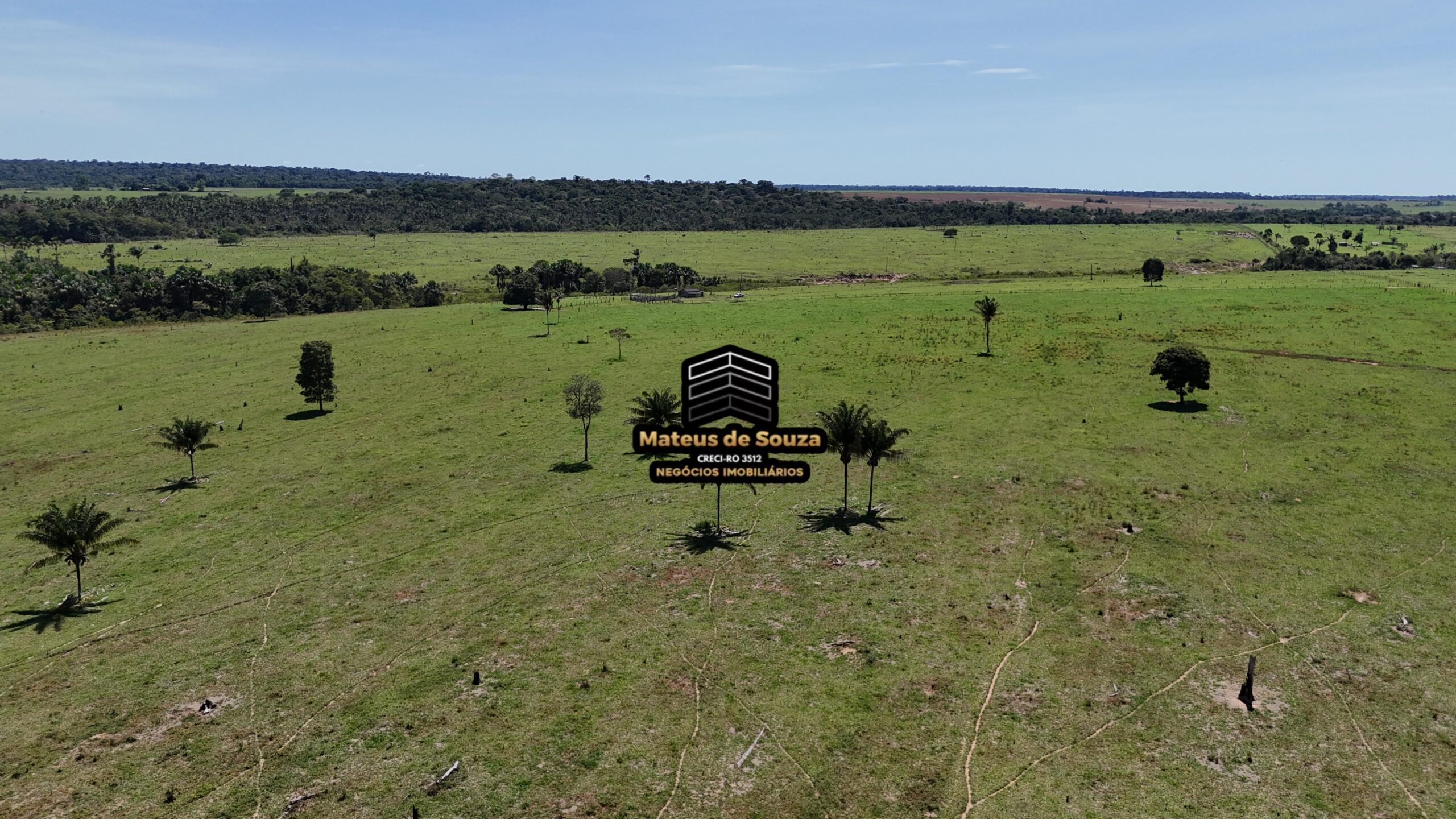 WhatsApp Image 2026-02-21 at 20.46.51 (1)