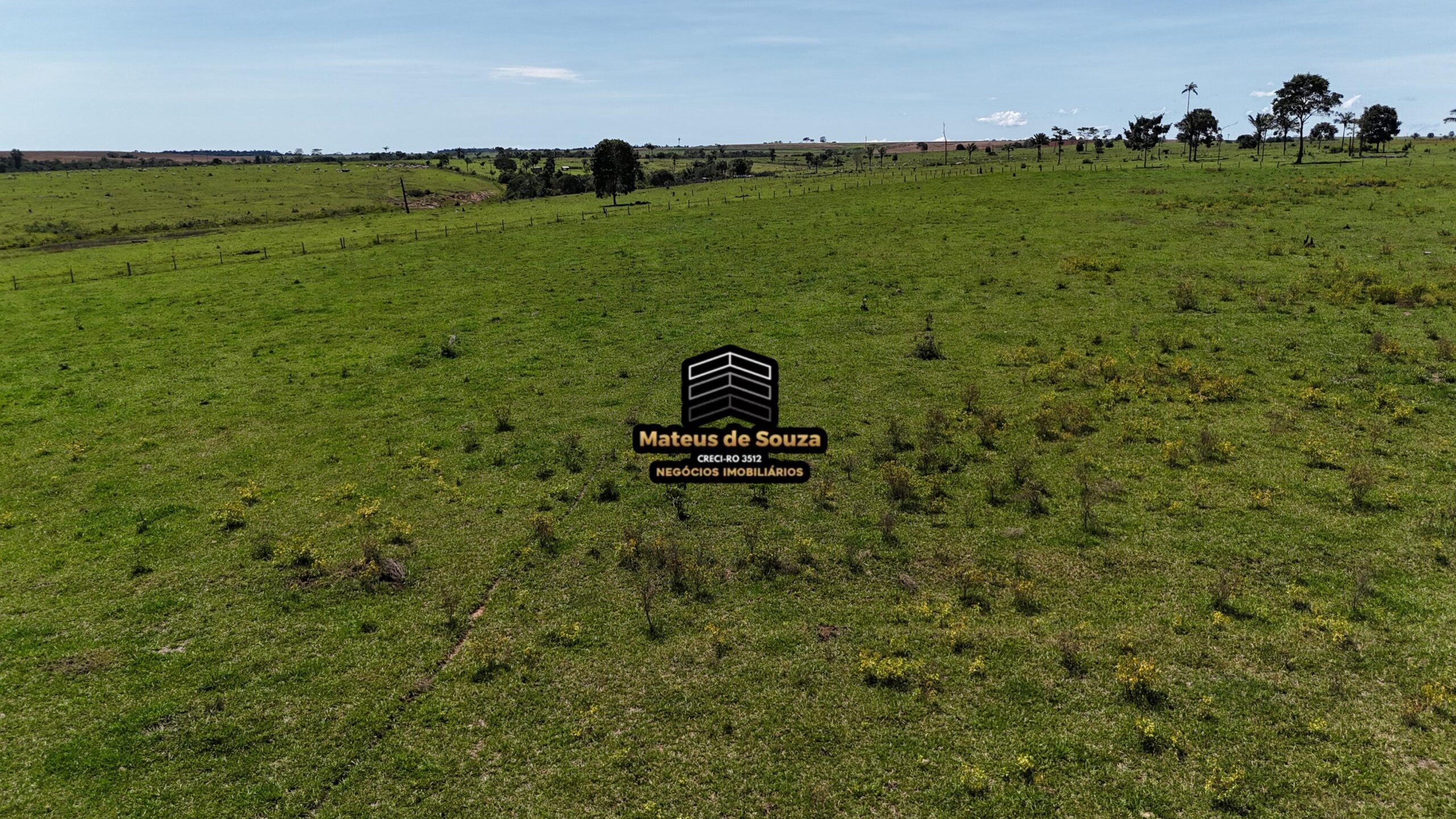 WhatsApp Image 2026-02-21 at 20.46.51