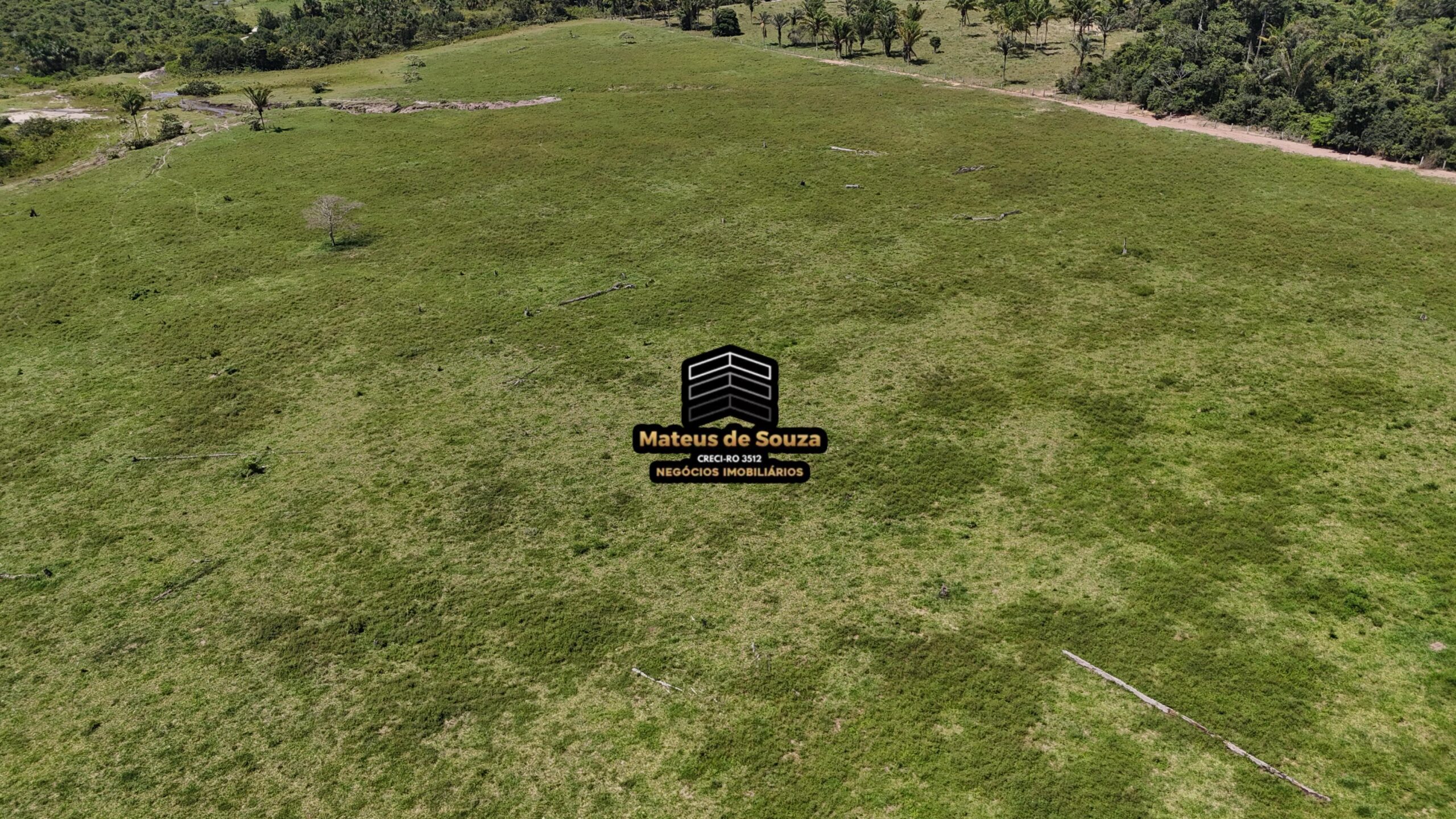 WhatsApp Image 2026-02-21 at 20.46.52