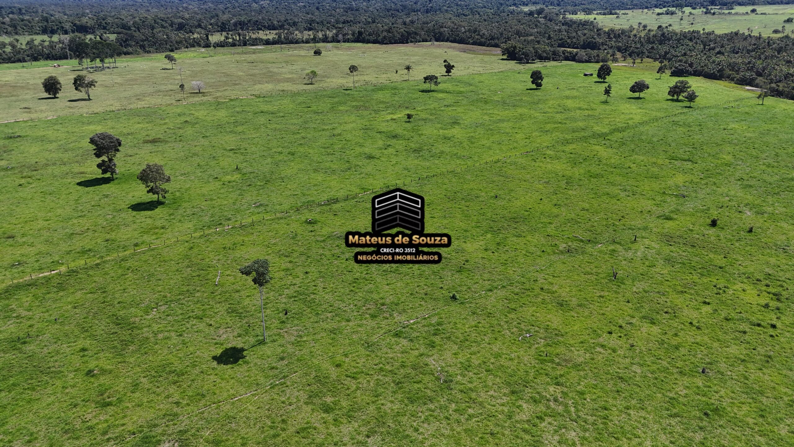 WhatsApp Image 2026-02-21 at 20.46.53