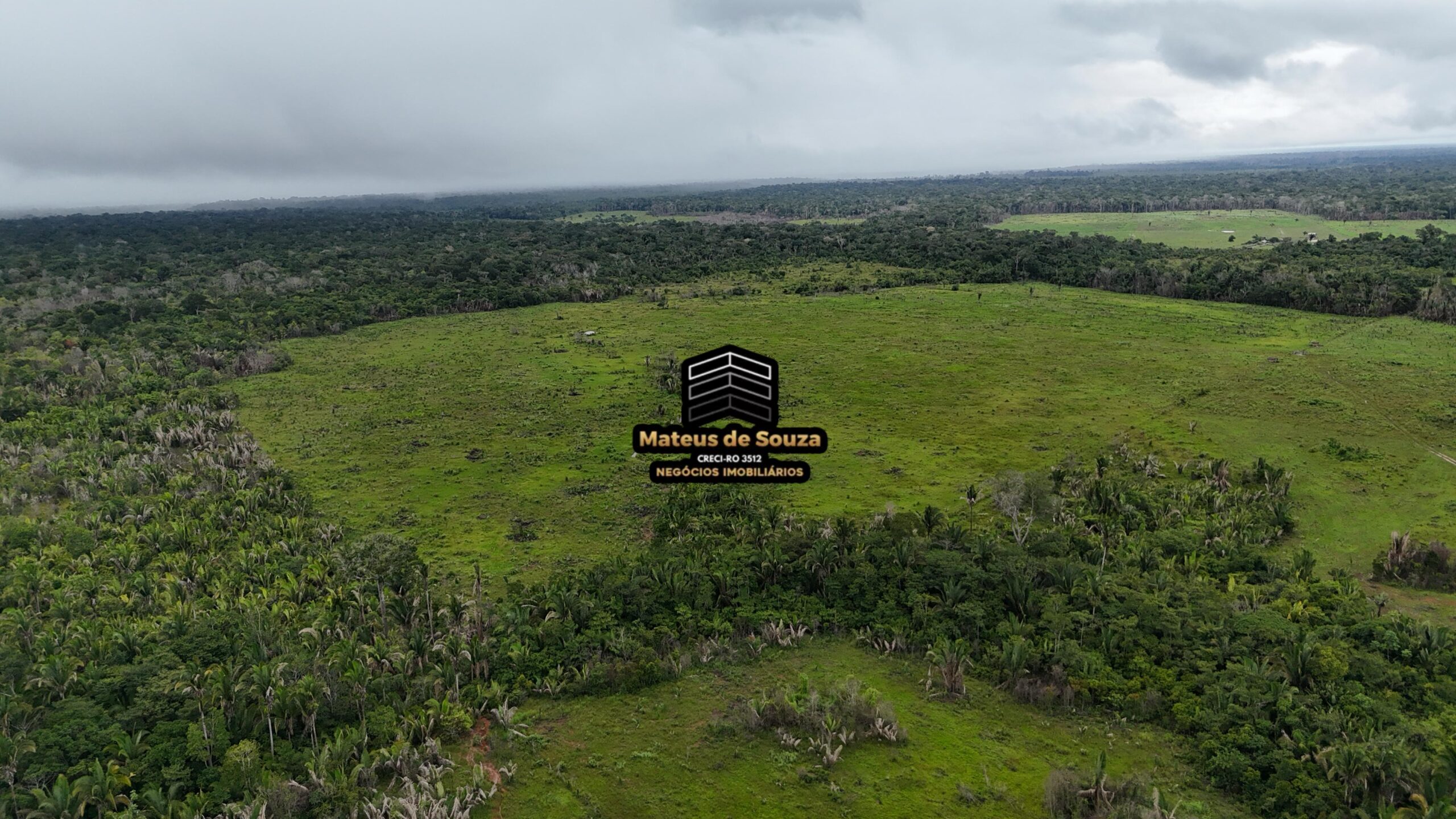 WhatsApp Image 2026-02-21 at 20.47.11