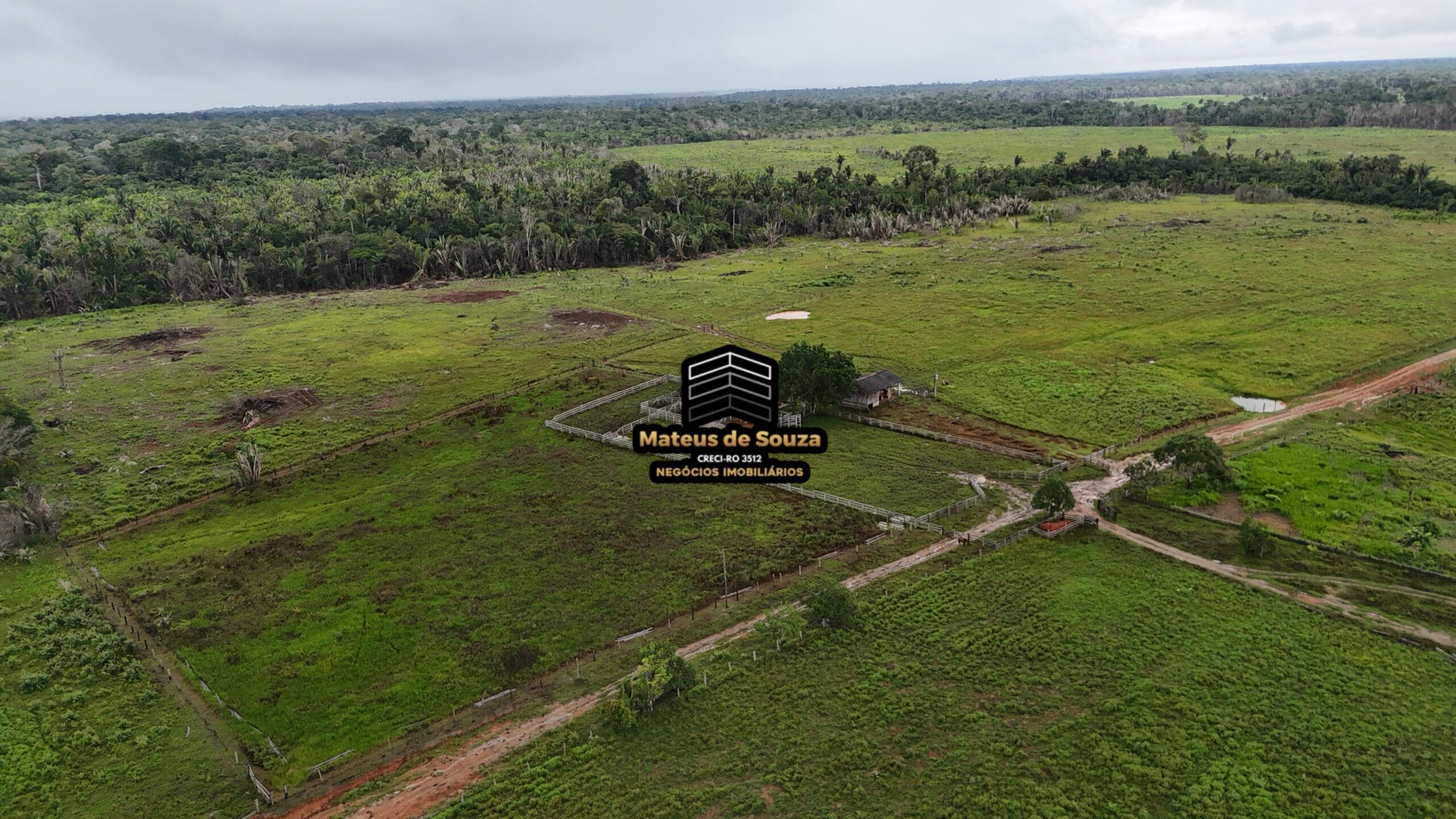 WhatsApp Image 2026-02-21 at 20.47.14 (1)