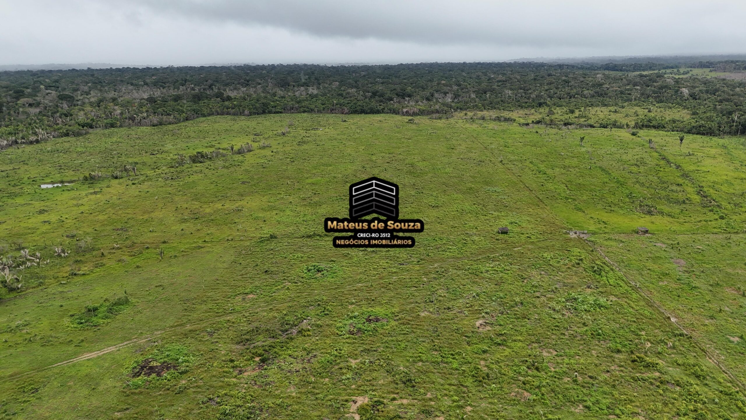 WhatsApp Image 2026-02-21 at 20.47.14