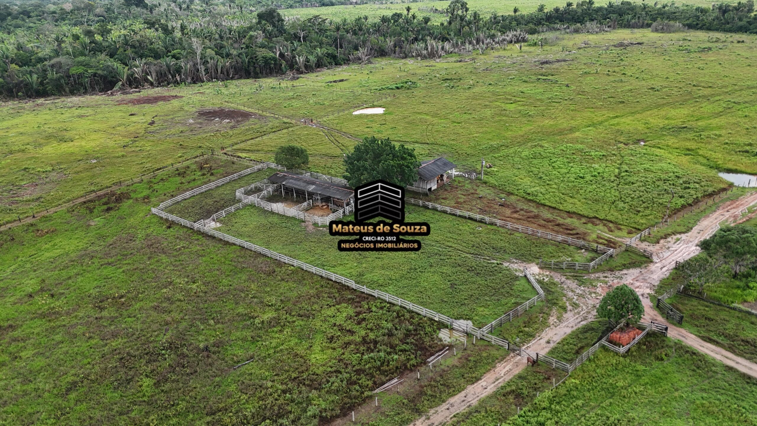 WhatsApp Image 2026-02-21 at 20.47.16