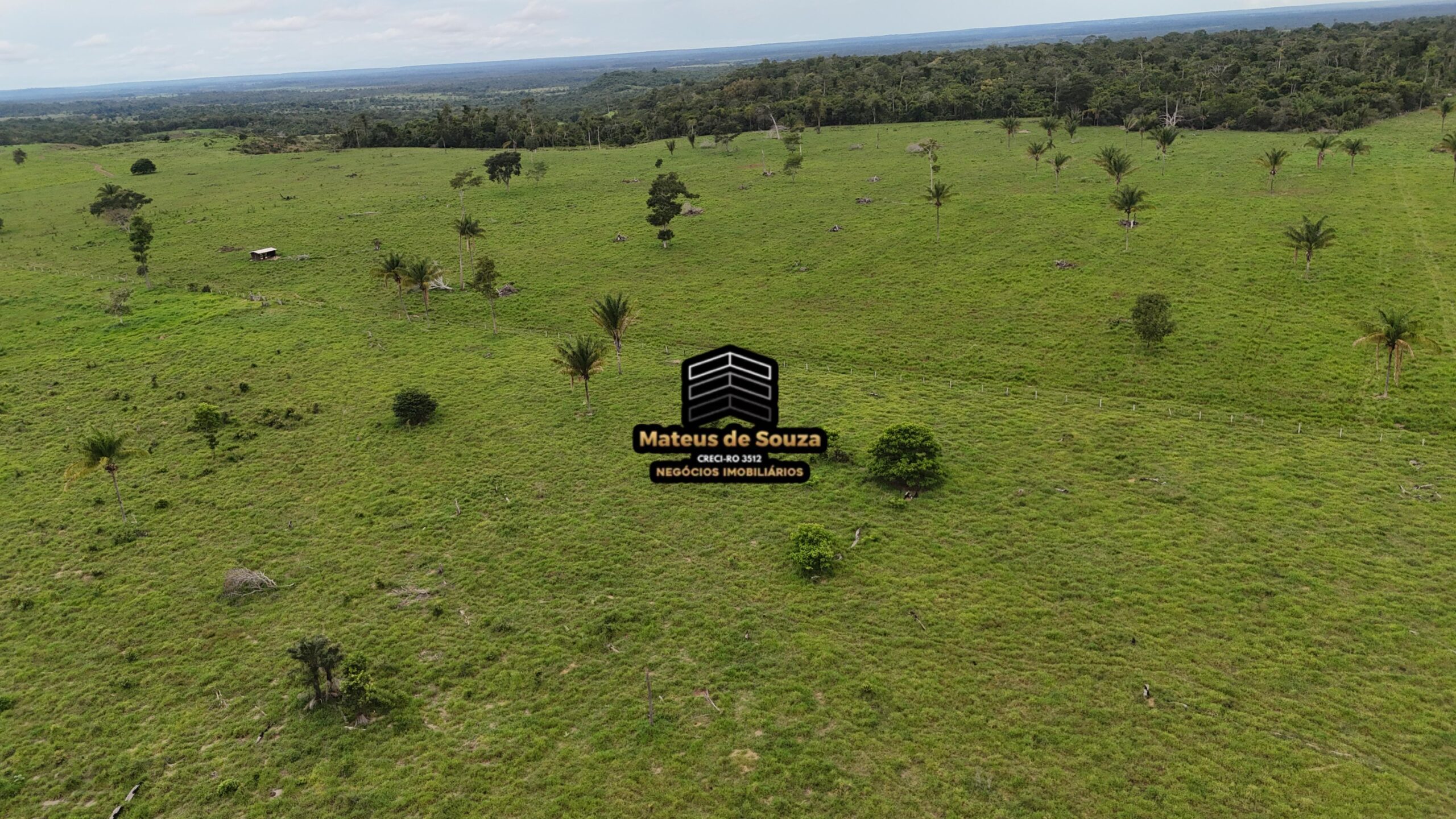 WhatsApp Image 2026-02-21 at 20.47.25