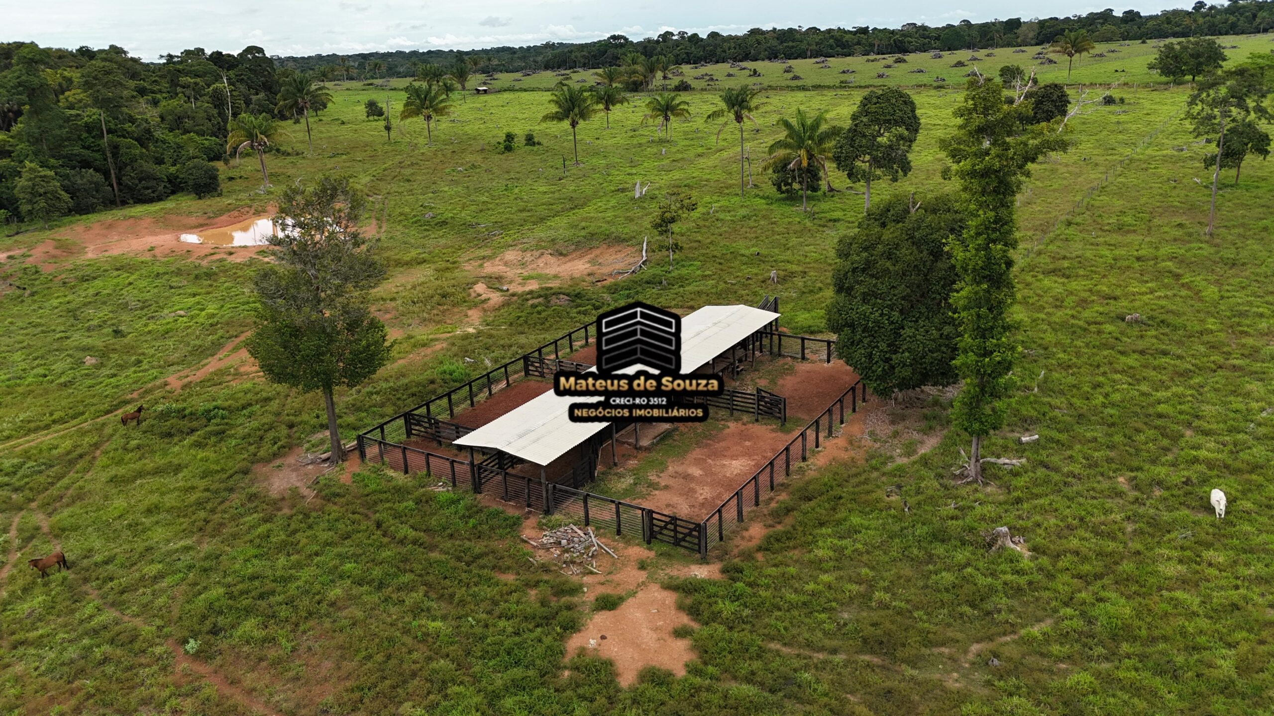 WhatsApp Image 2026-02-21 at 20.47.26 (1)