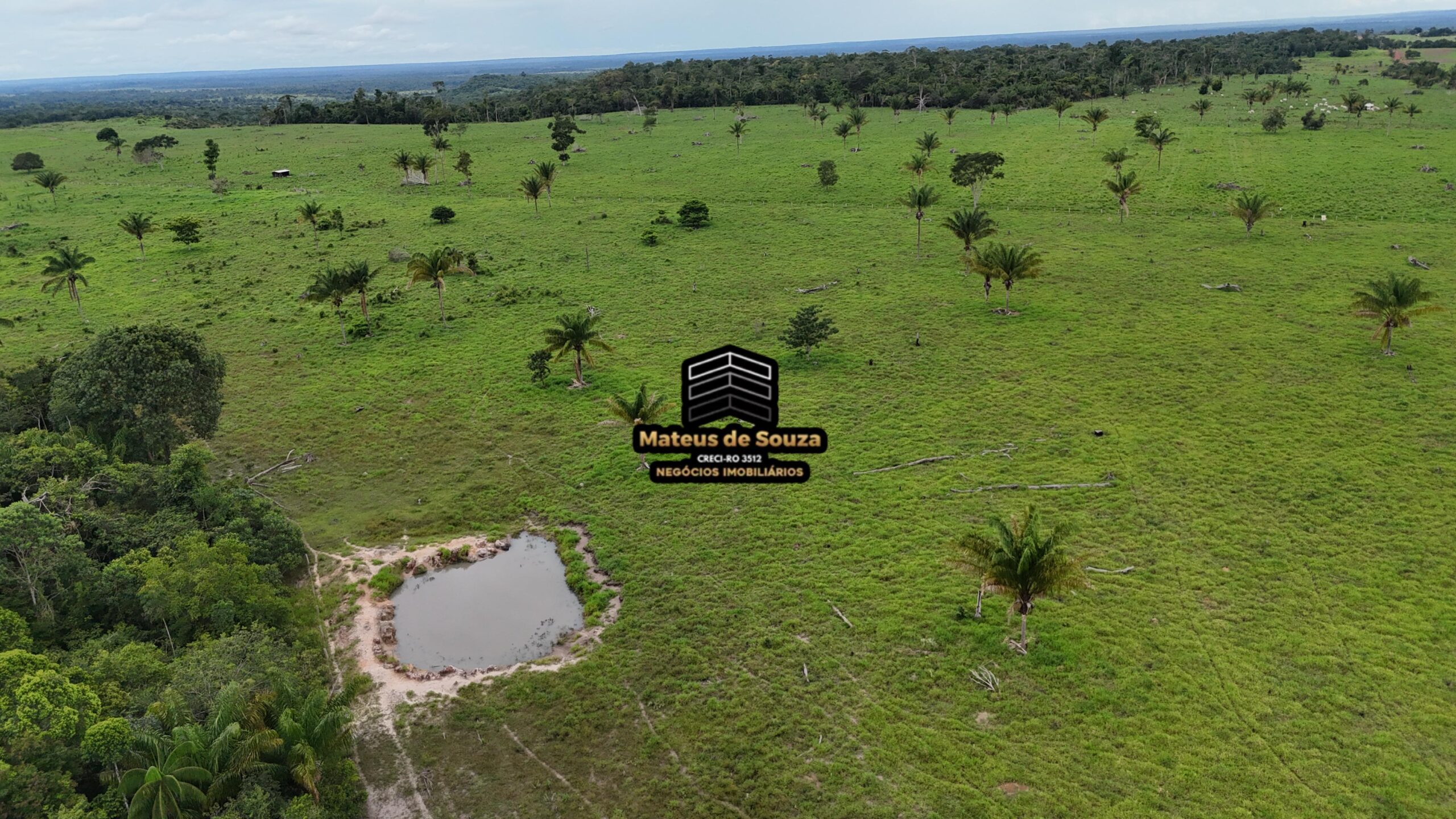 WhatsApp Image 2026-02-21 at 20.47.26 (2)