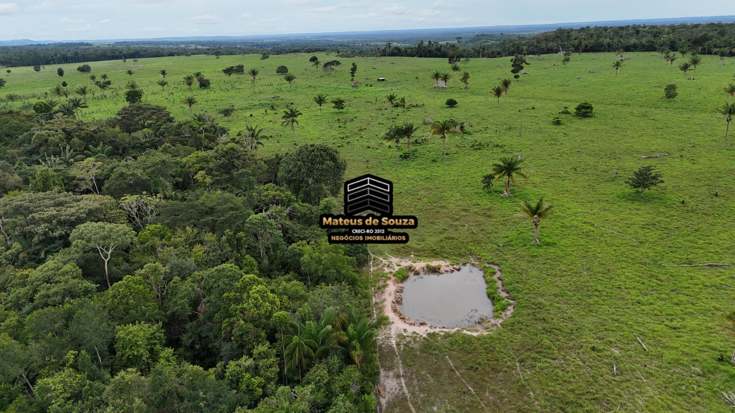 WhatsApp Image 2026-02-21 at 20.47.26