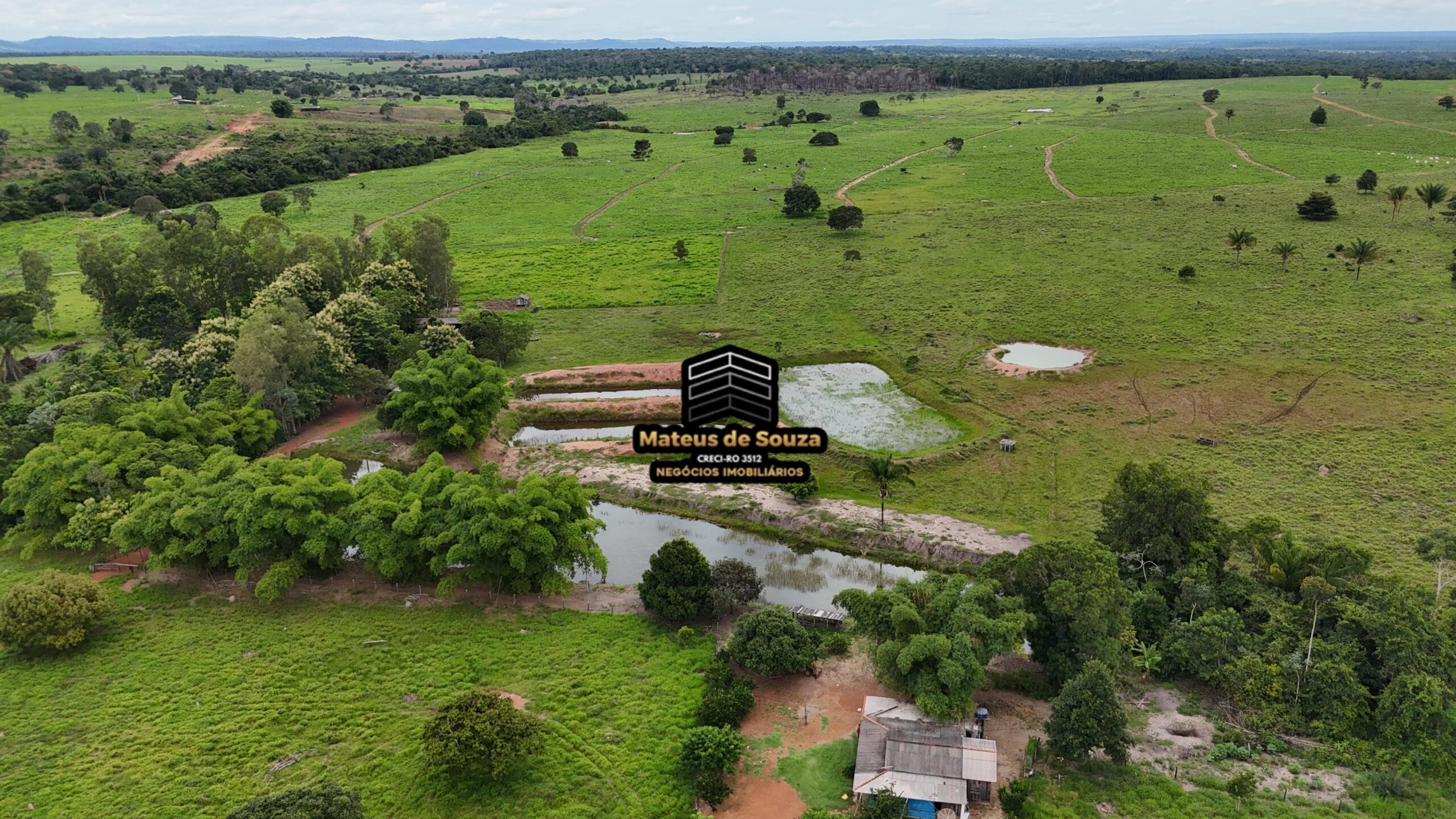 WhatsApp Image 2026-02-21 at 20.47.27 (1)