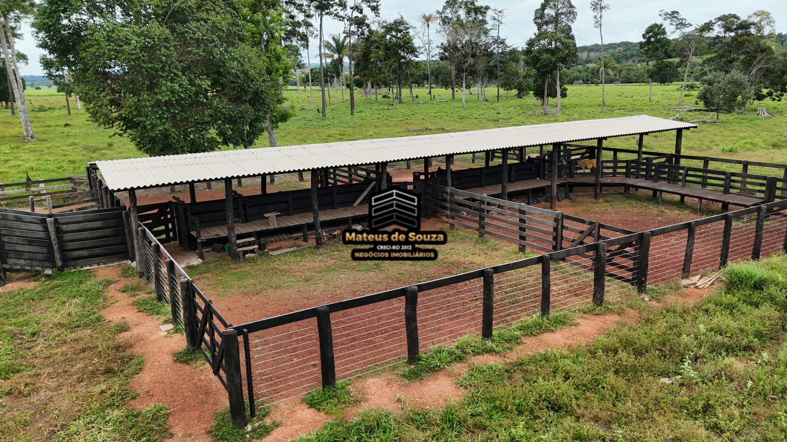 WhatsApp Image 2026-02-21 at 20.47.29 (2)