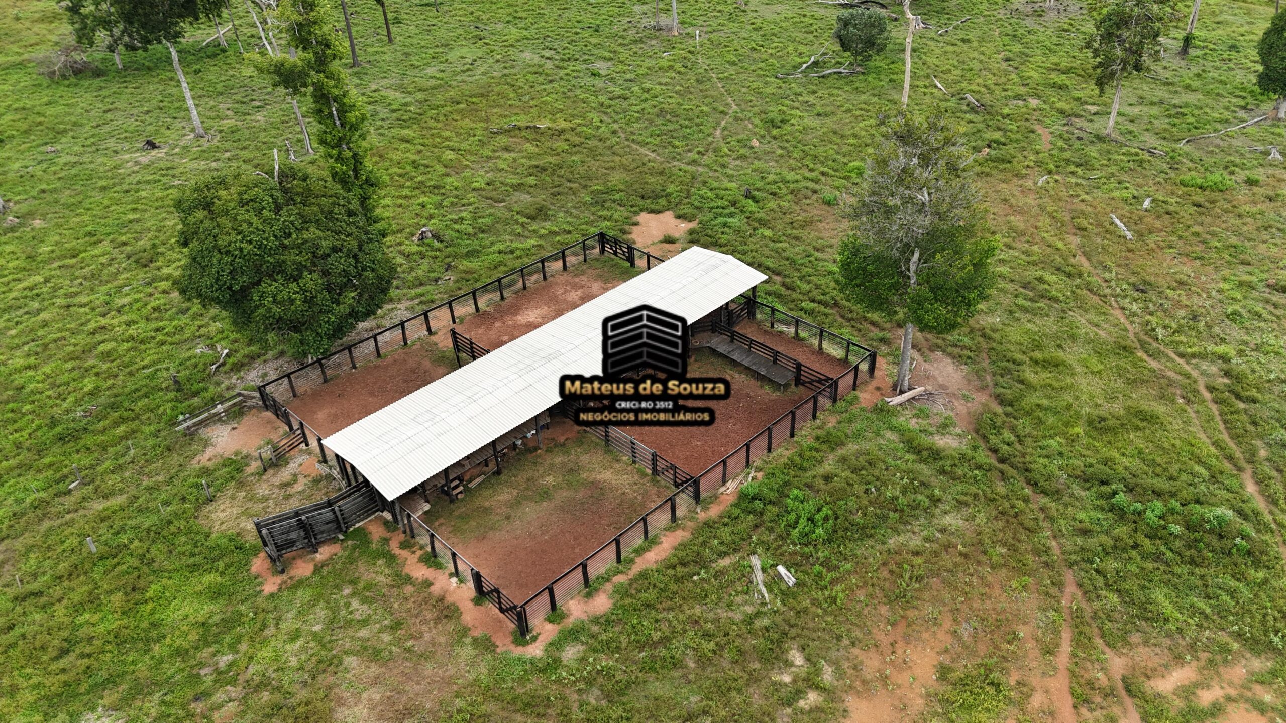 WhatsApp Image 2026-02-21 at 20.47.29