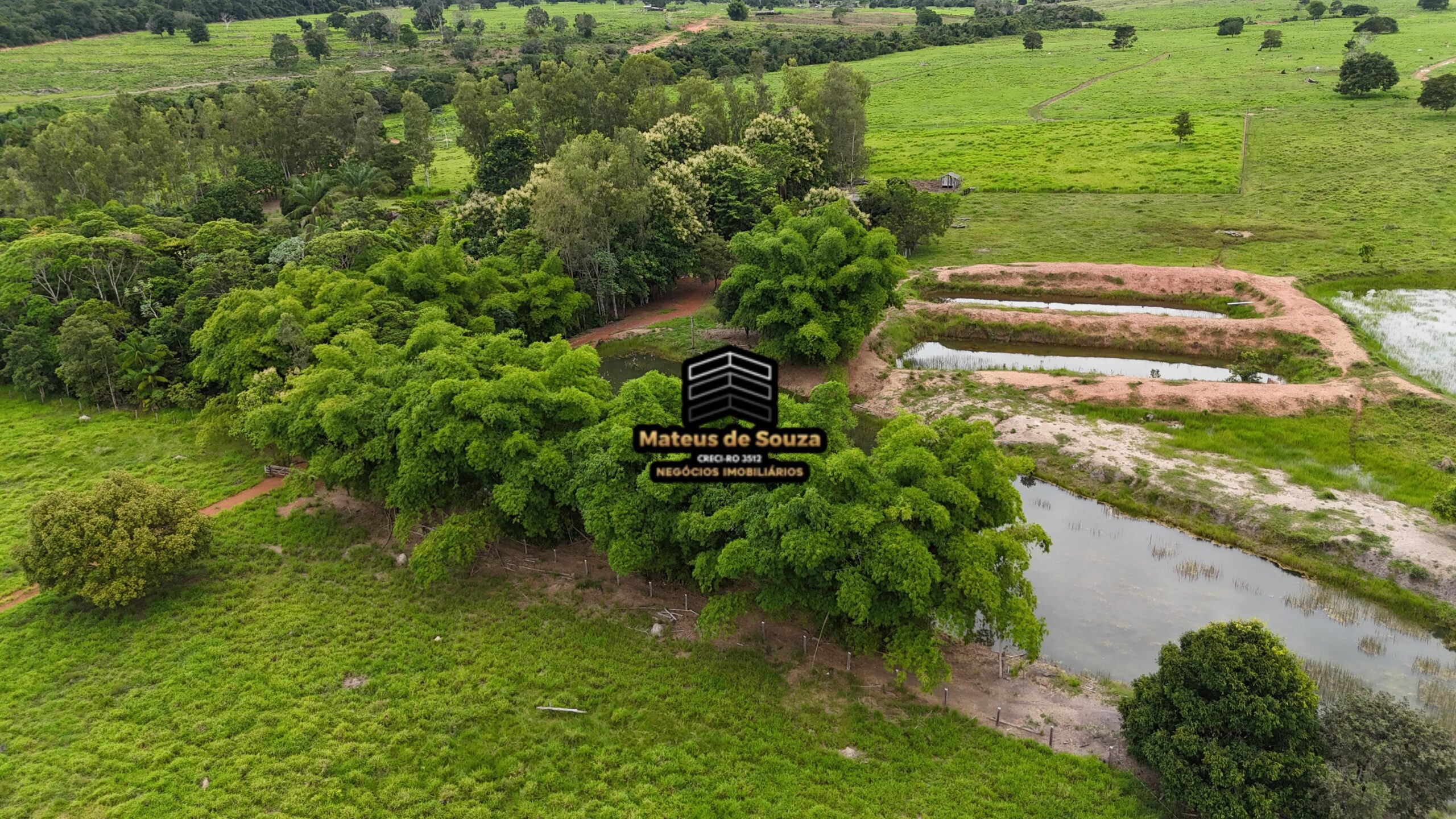 WhatsApp Image 2026-02-21 at 20.47.30 (1)