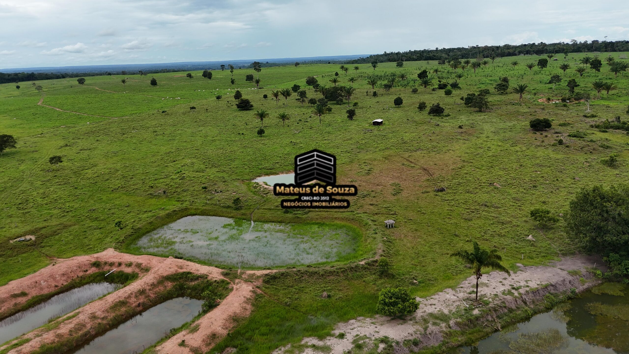 WhatsApp Image 2026-02-21 at 20.47.30 (2)