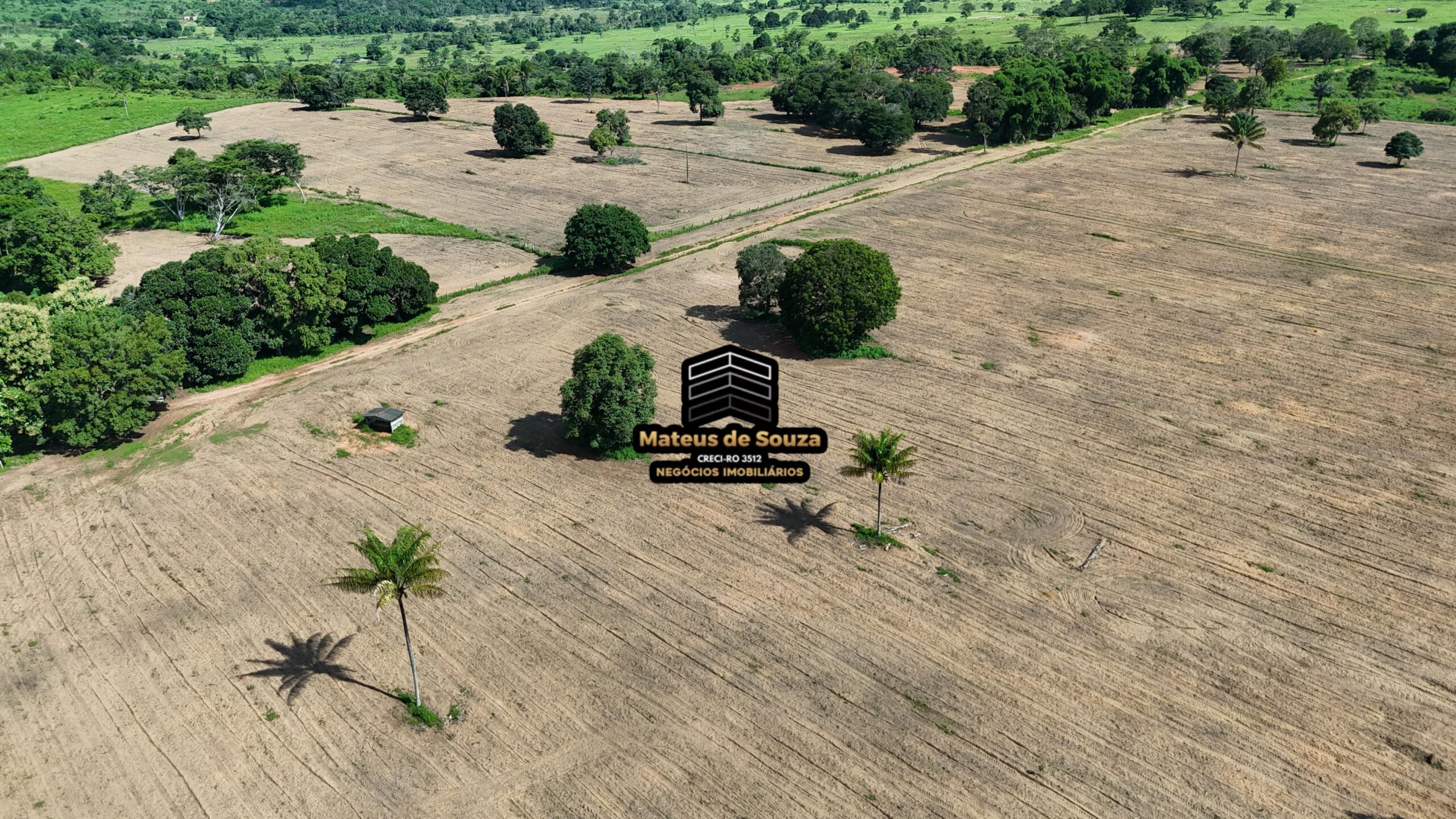 WhatsApp Image 2026-02-21 at 20.47.42