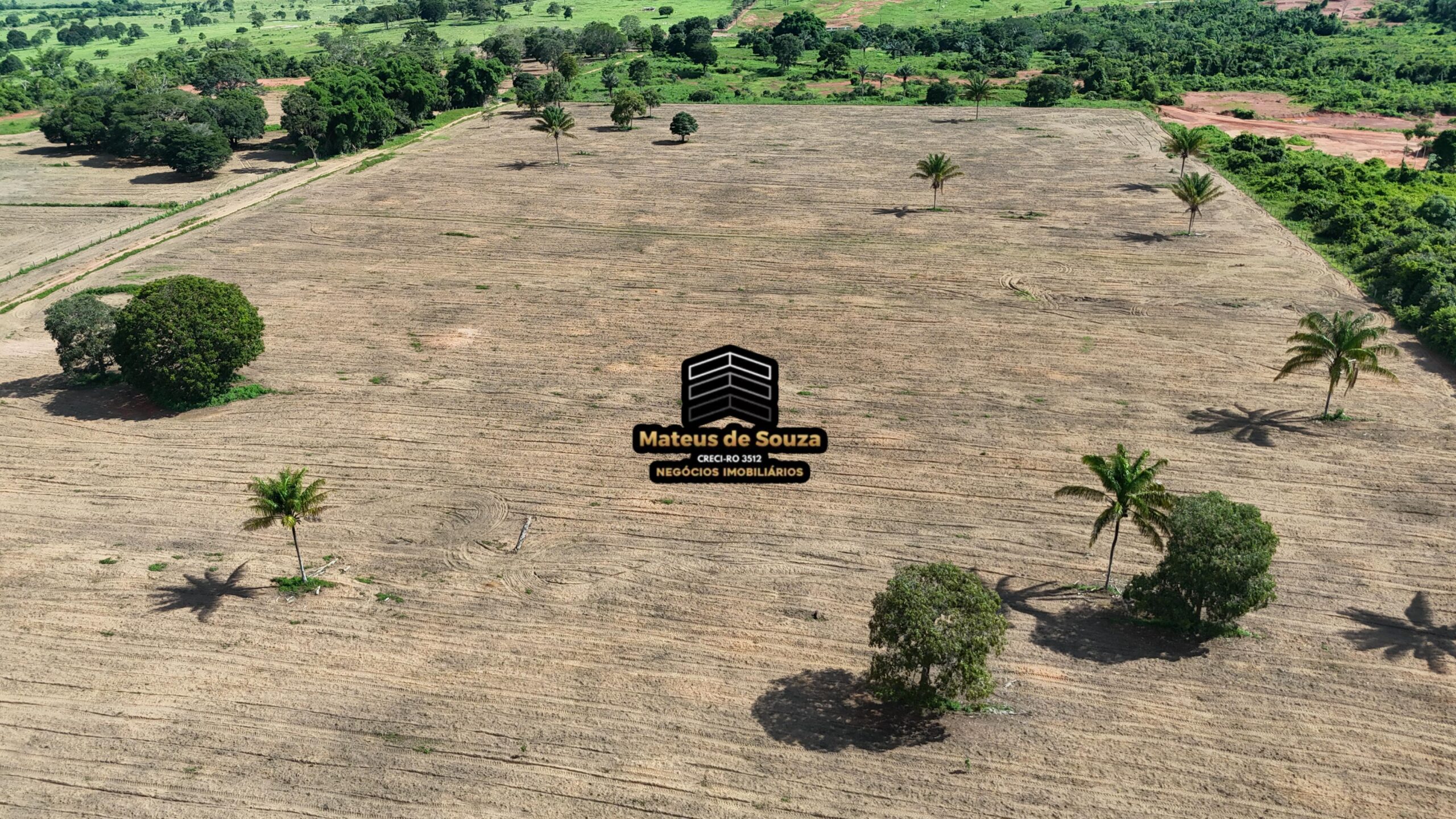 WhatsApp Image 2026-02-21 at 20.47.43