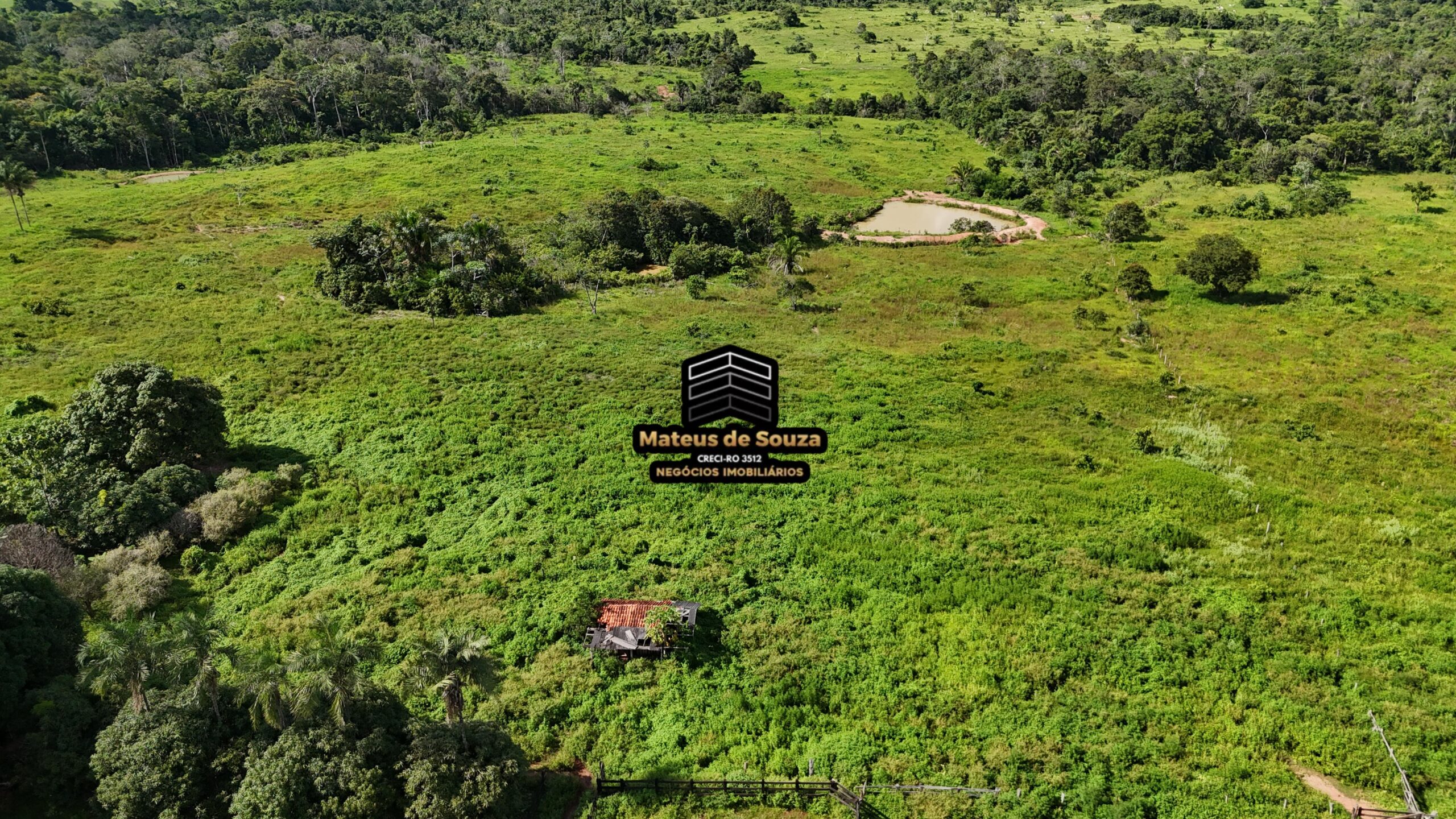 WhatsApp Image 2026-02-21 at 20.47.44 (1)